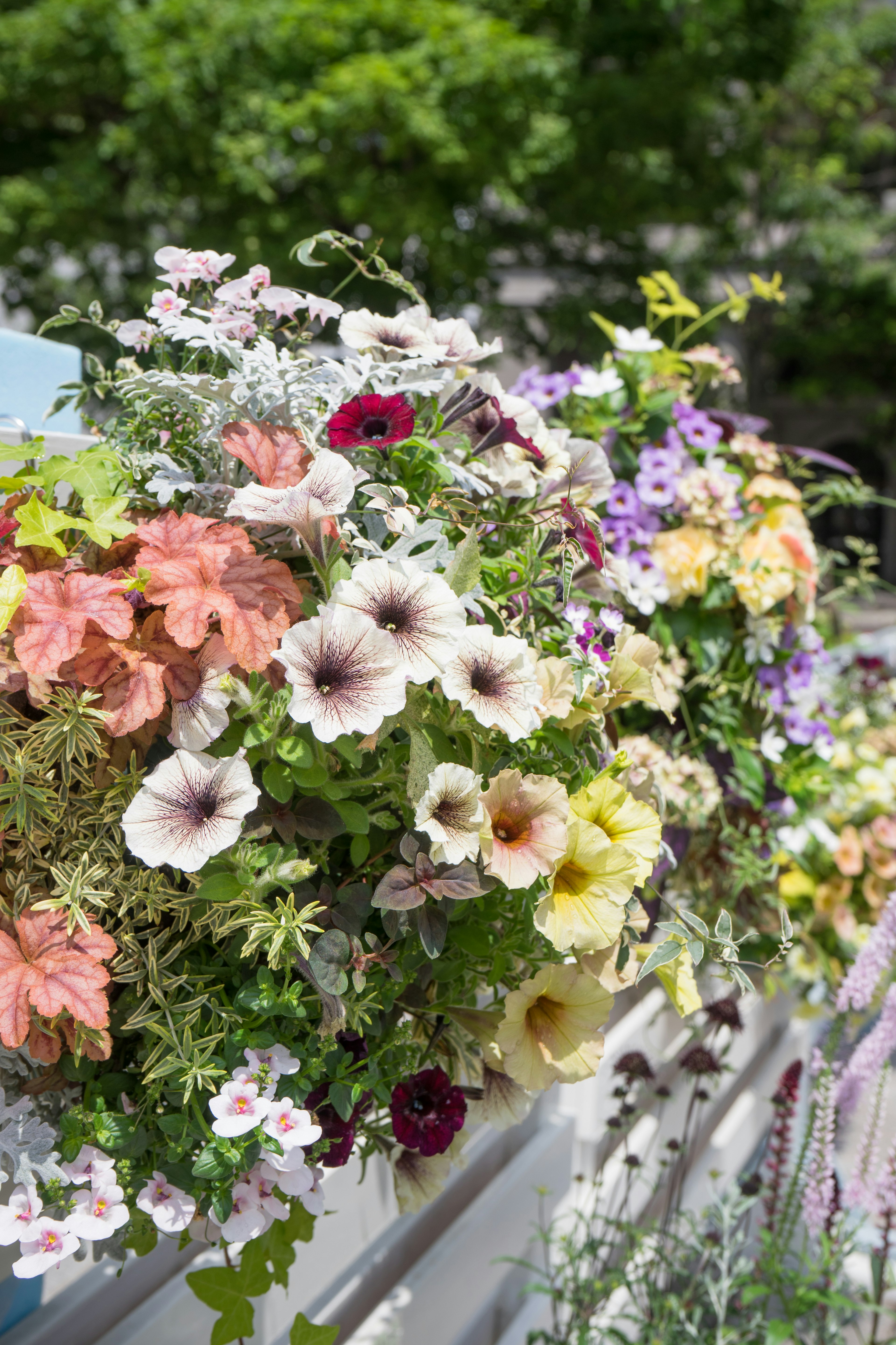 Primer plano de un vibrante arreglo floral con varias flores