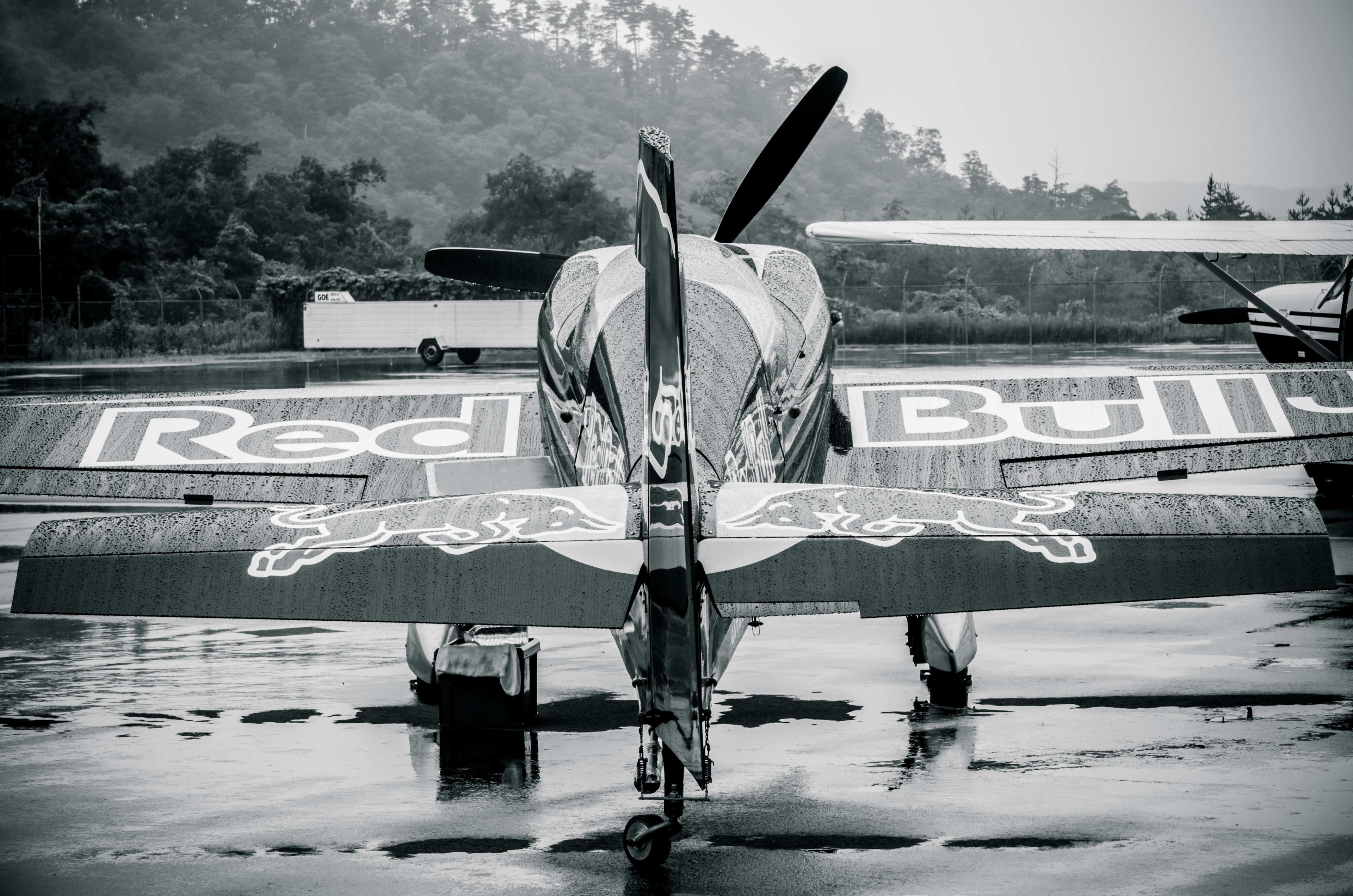 Immagine in bianco e nero di un aereo con il marchio Red Bull rivolto in avanti