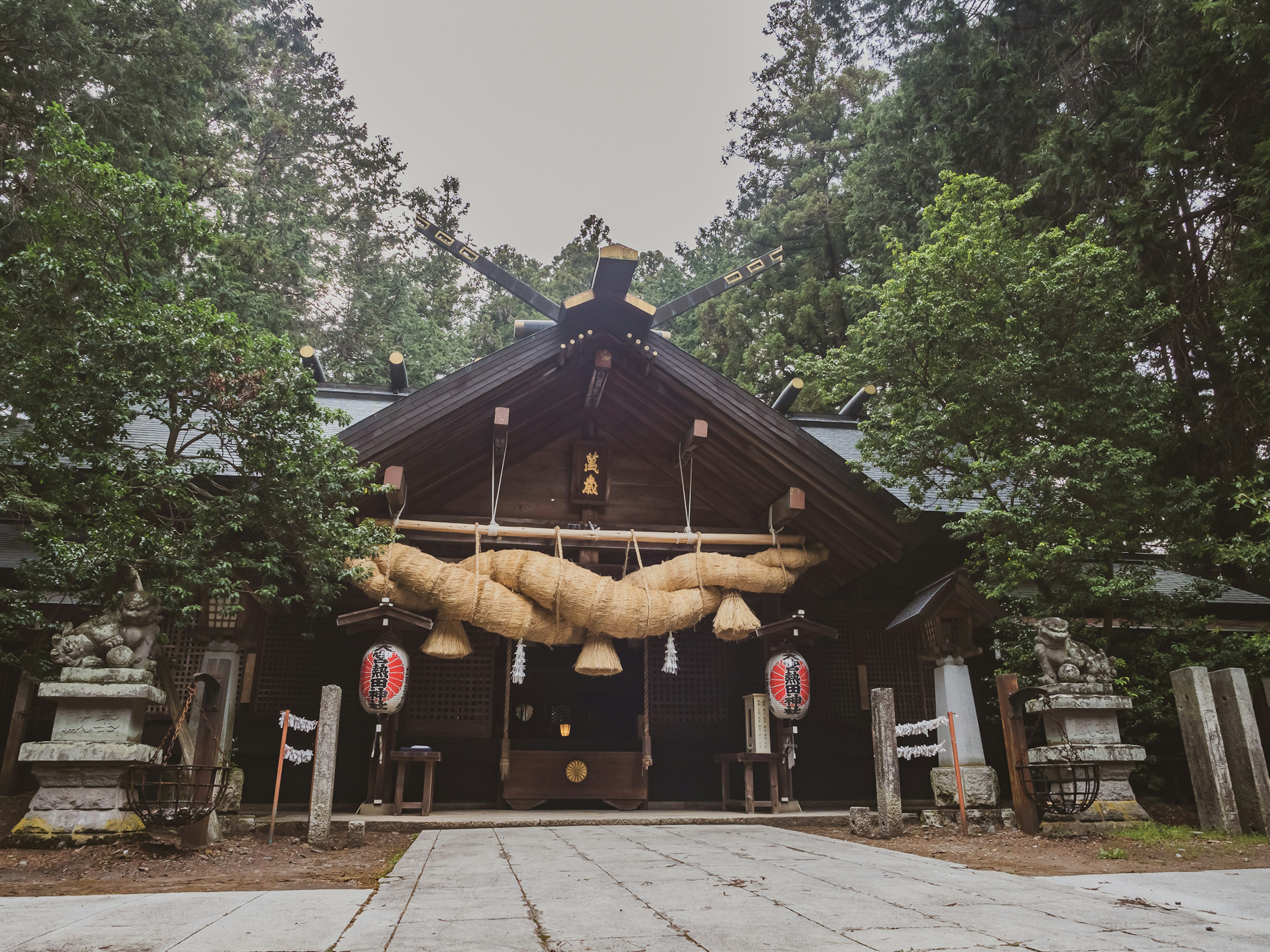 Entrance of a shrine surrounded by trees featuring a large shimenawa and lanterns