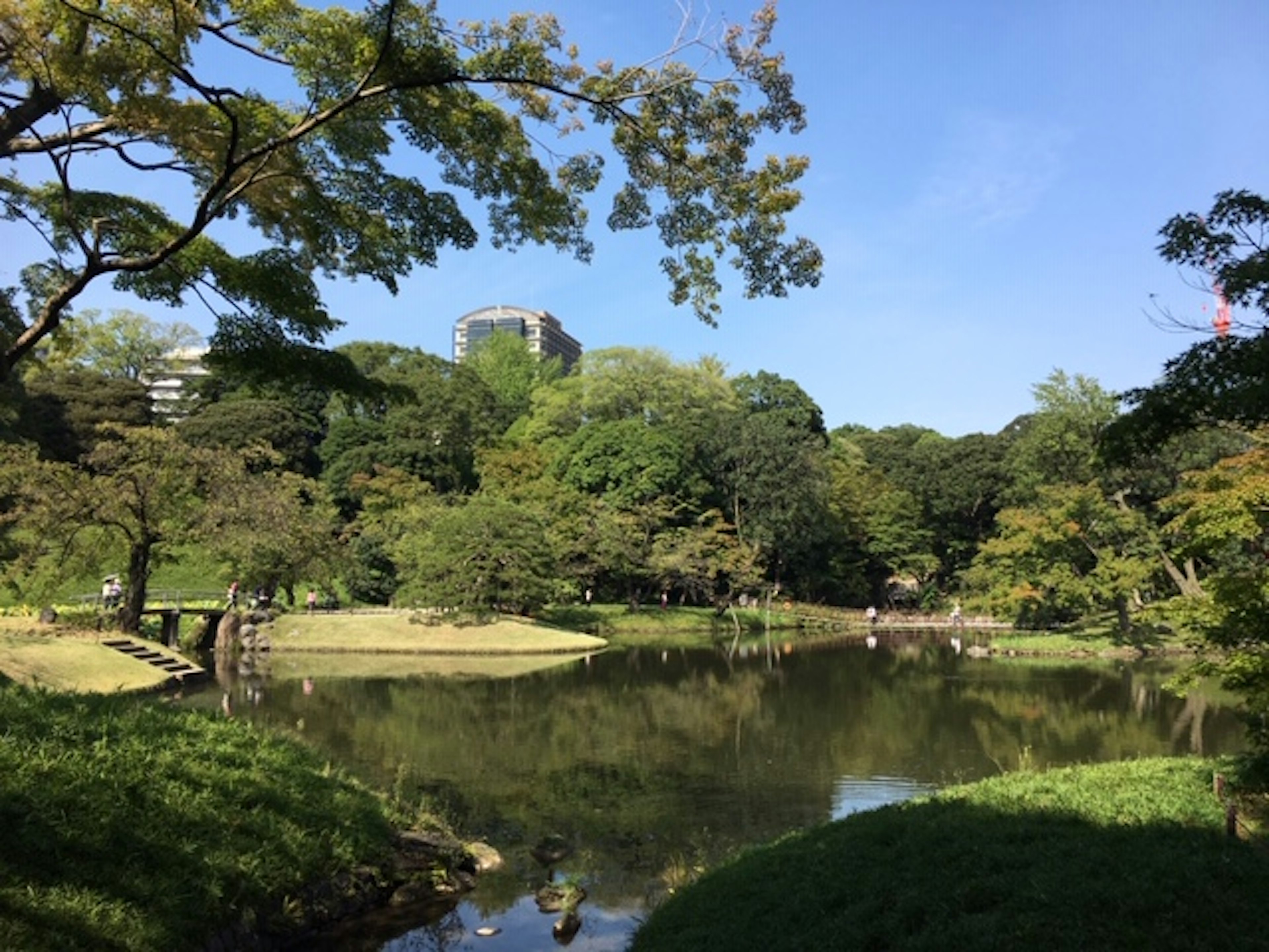 Scenic view of a park with a pond and lush trees