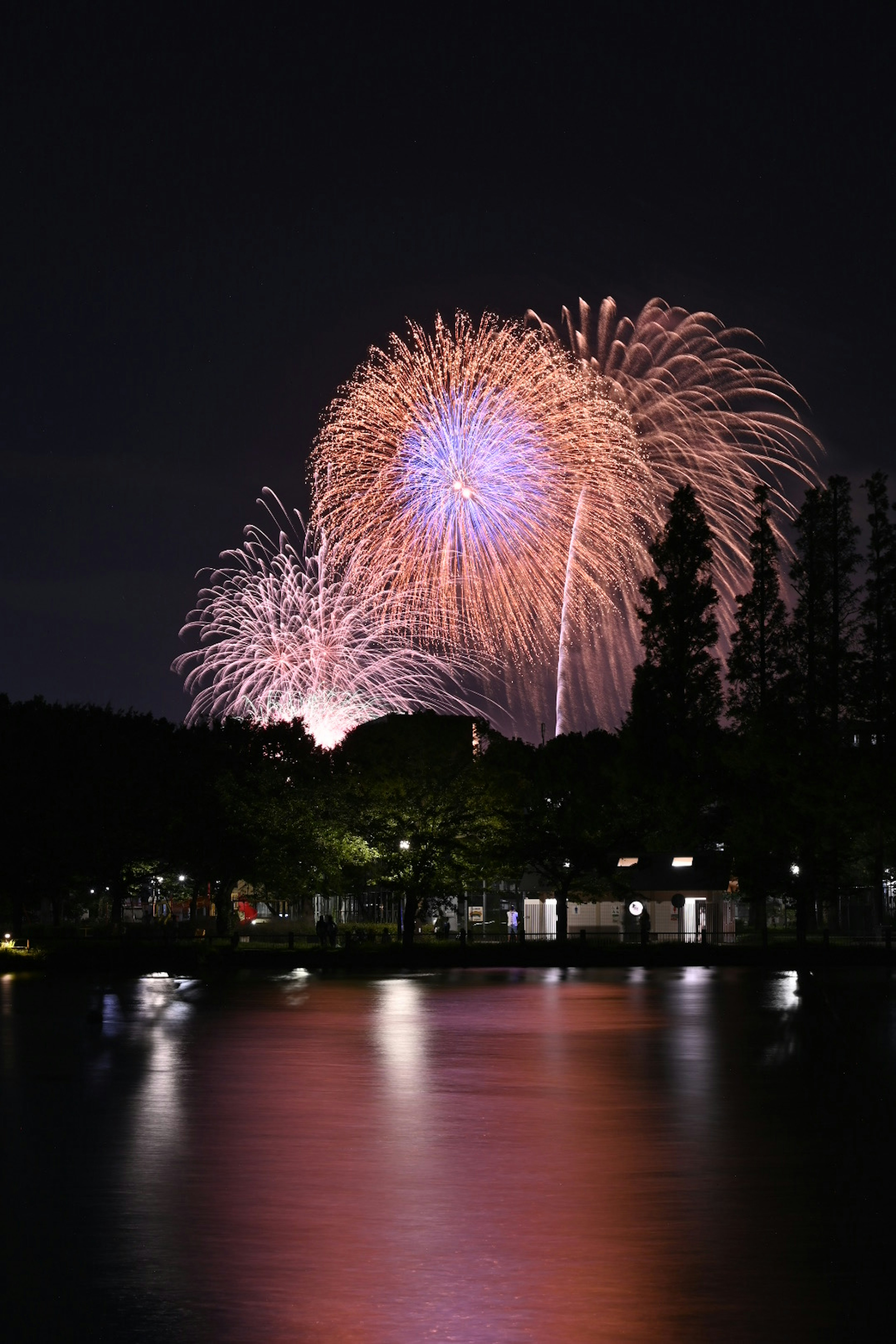 Bellissimi fuochi d'artificio che illuminano il cielo notturno con riflessi sull'acqua