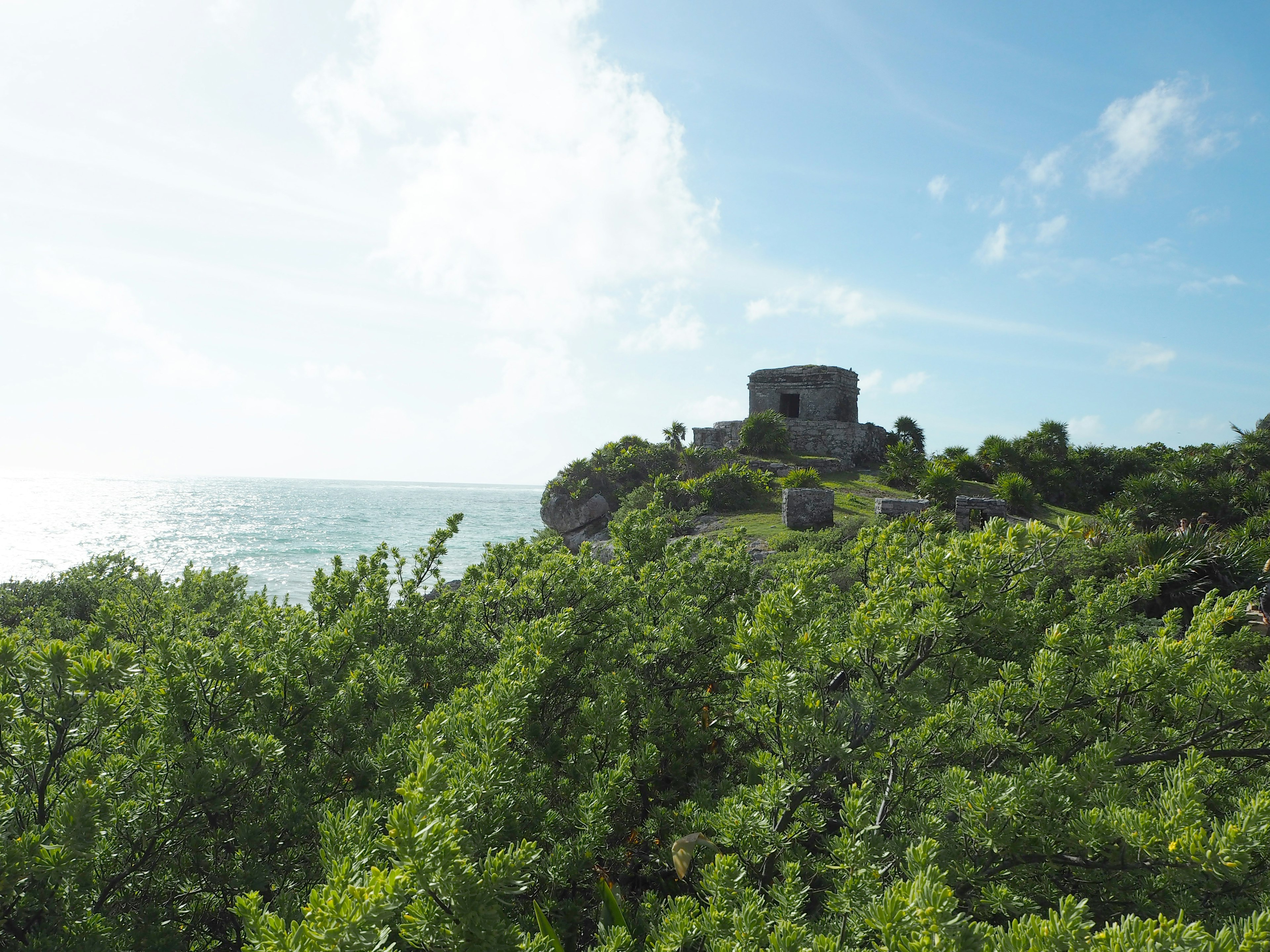 Une vue pittoresque d'une vieille structure entourée de verdure luxuriante et de l'océan