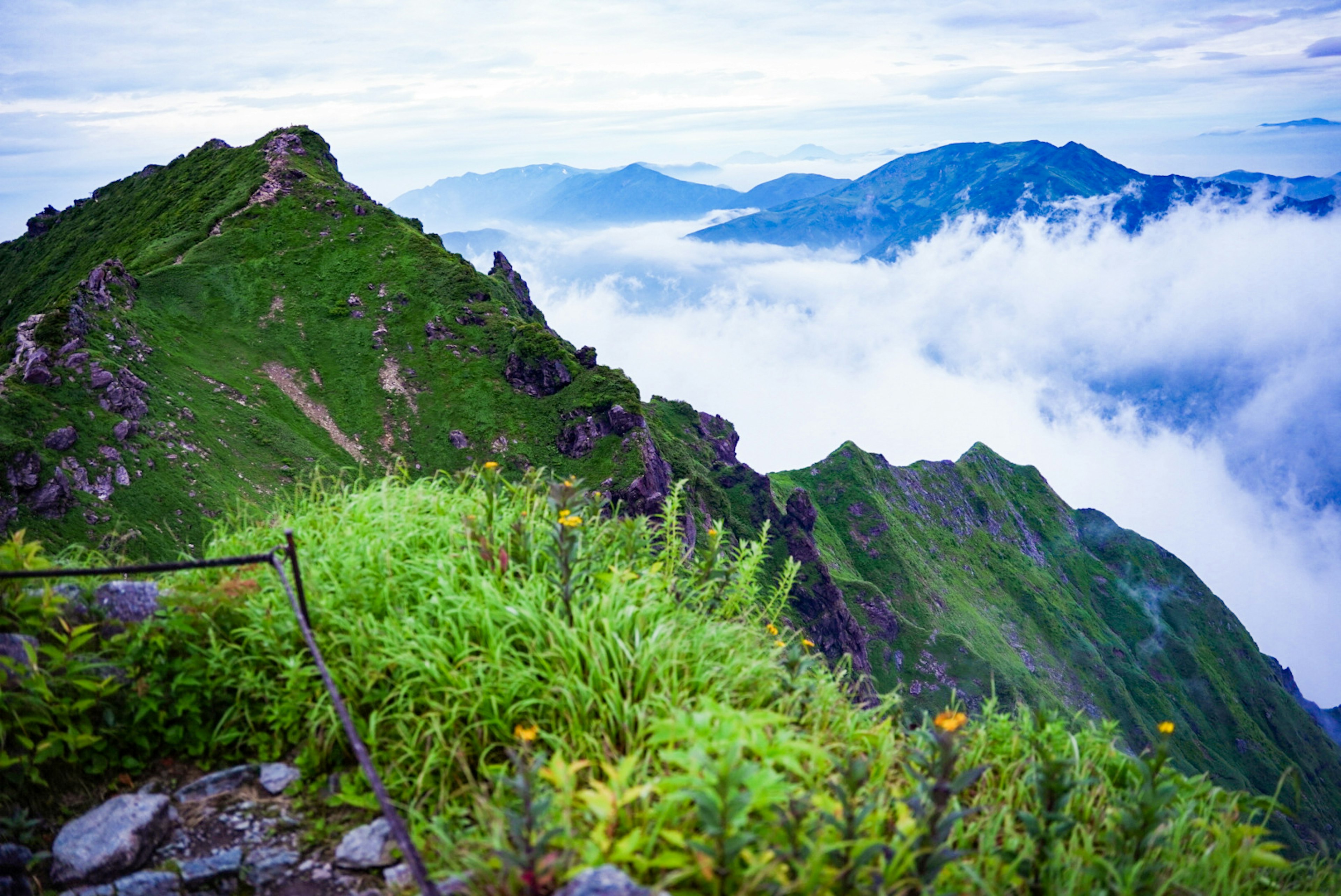 從山頂俯瞰，翠綠的植被和雲海的景色