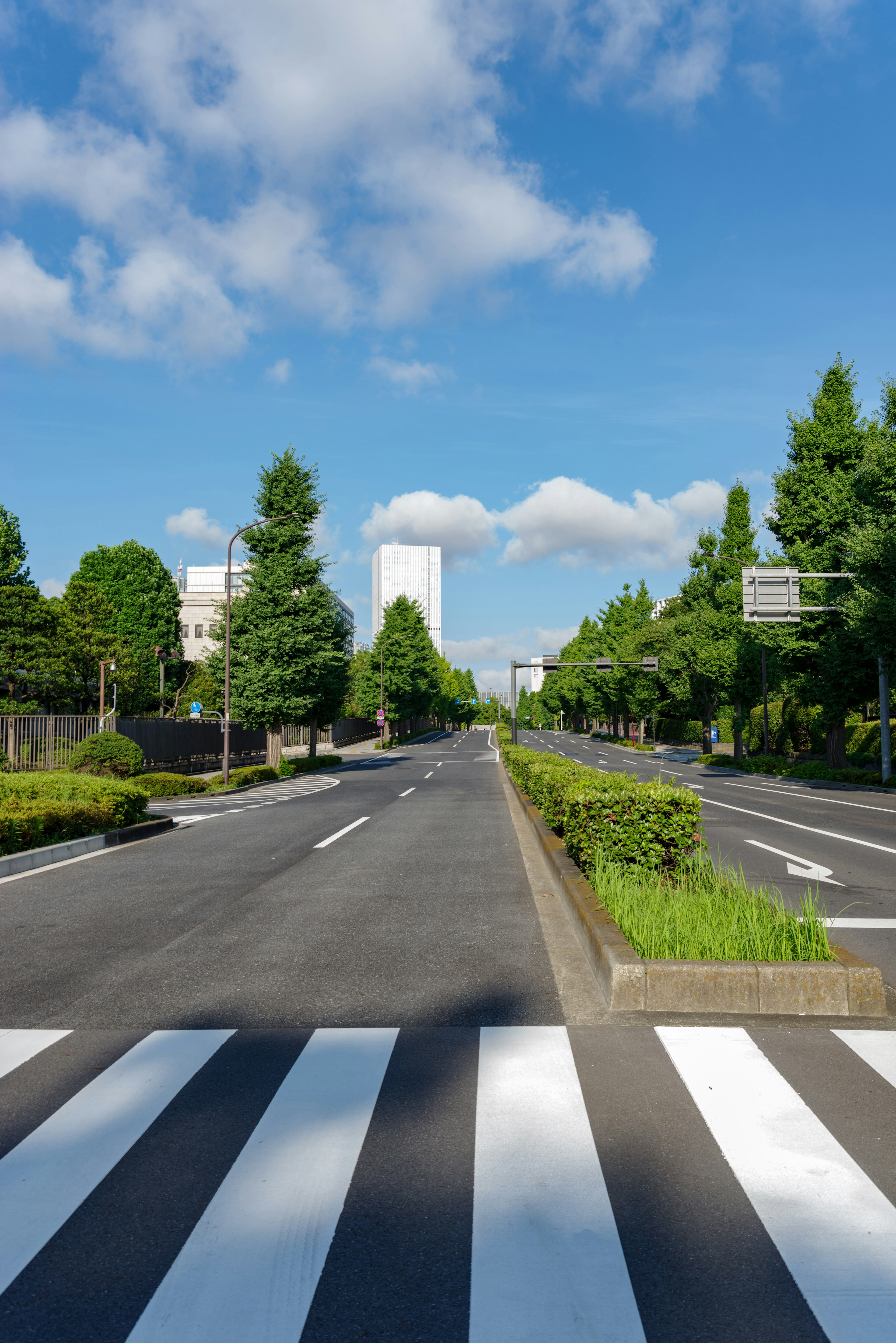 Street view with blue sky and green trees featuring a crosswalk