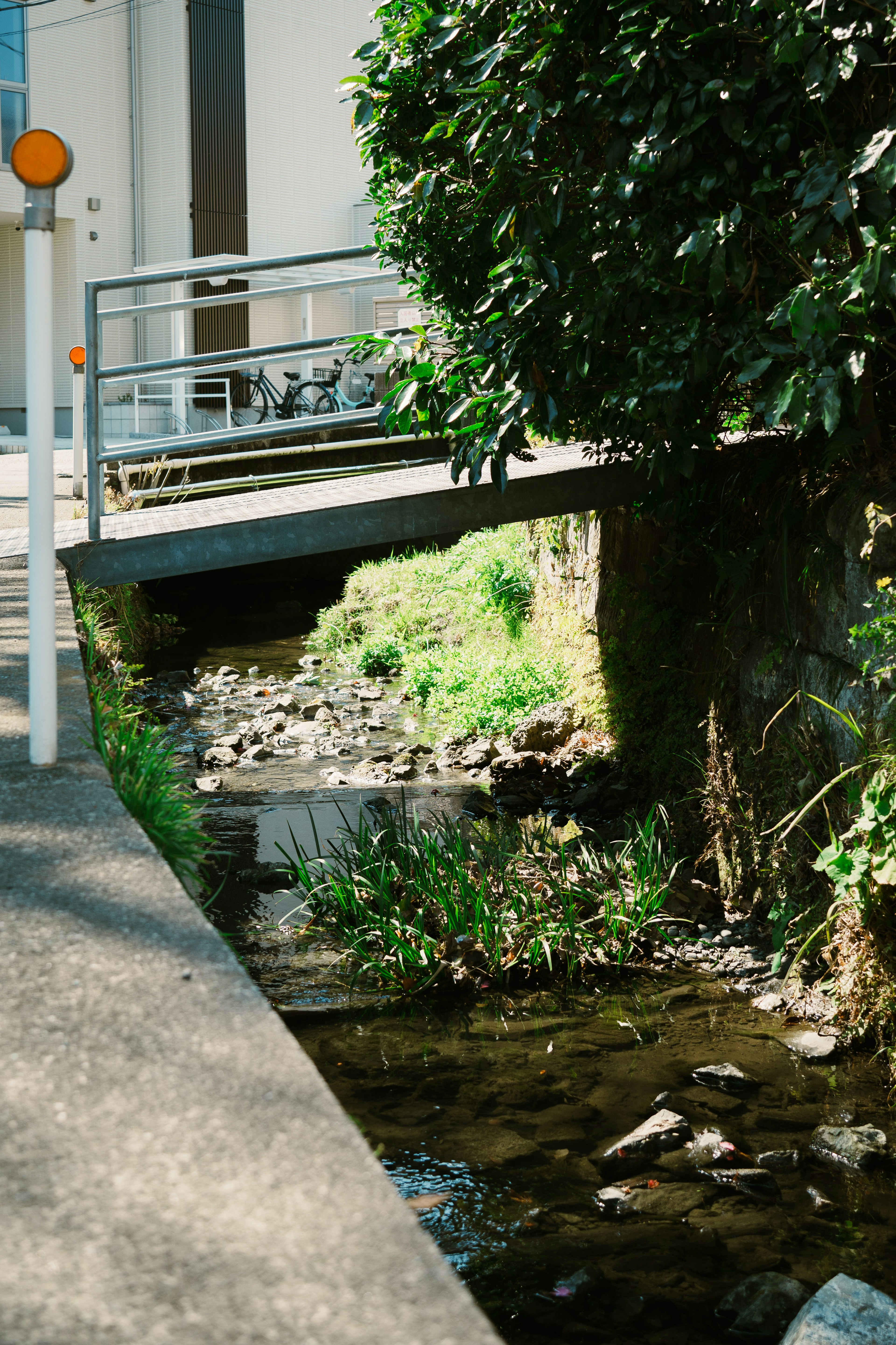 Malersicher Blick auf ein üppiges Flussufer mit einer Brücke