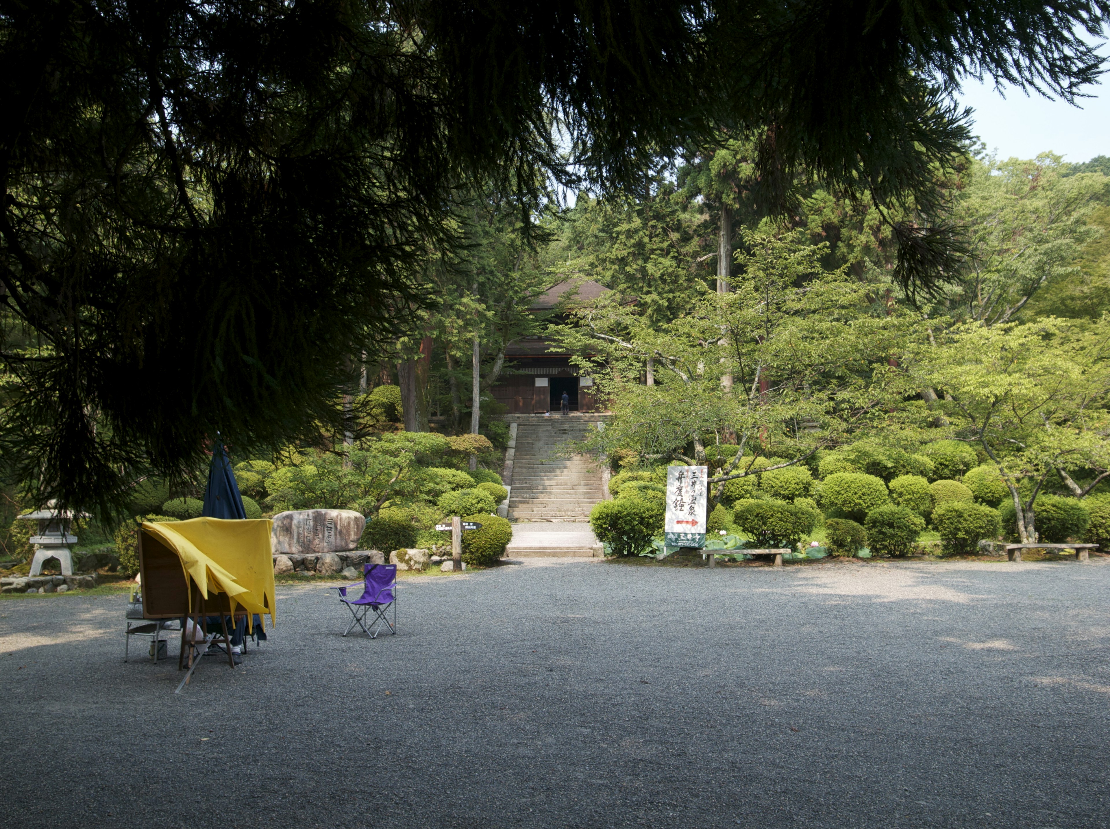 Paesaggio di giardino sereno con alberi verdi e arbusti ben curati