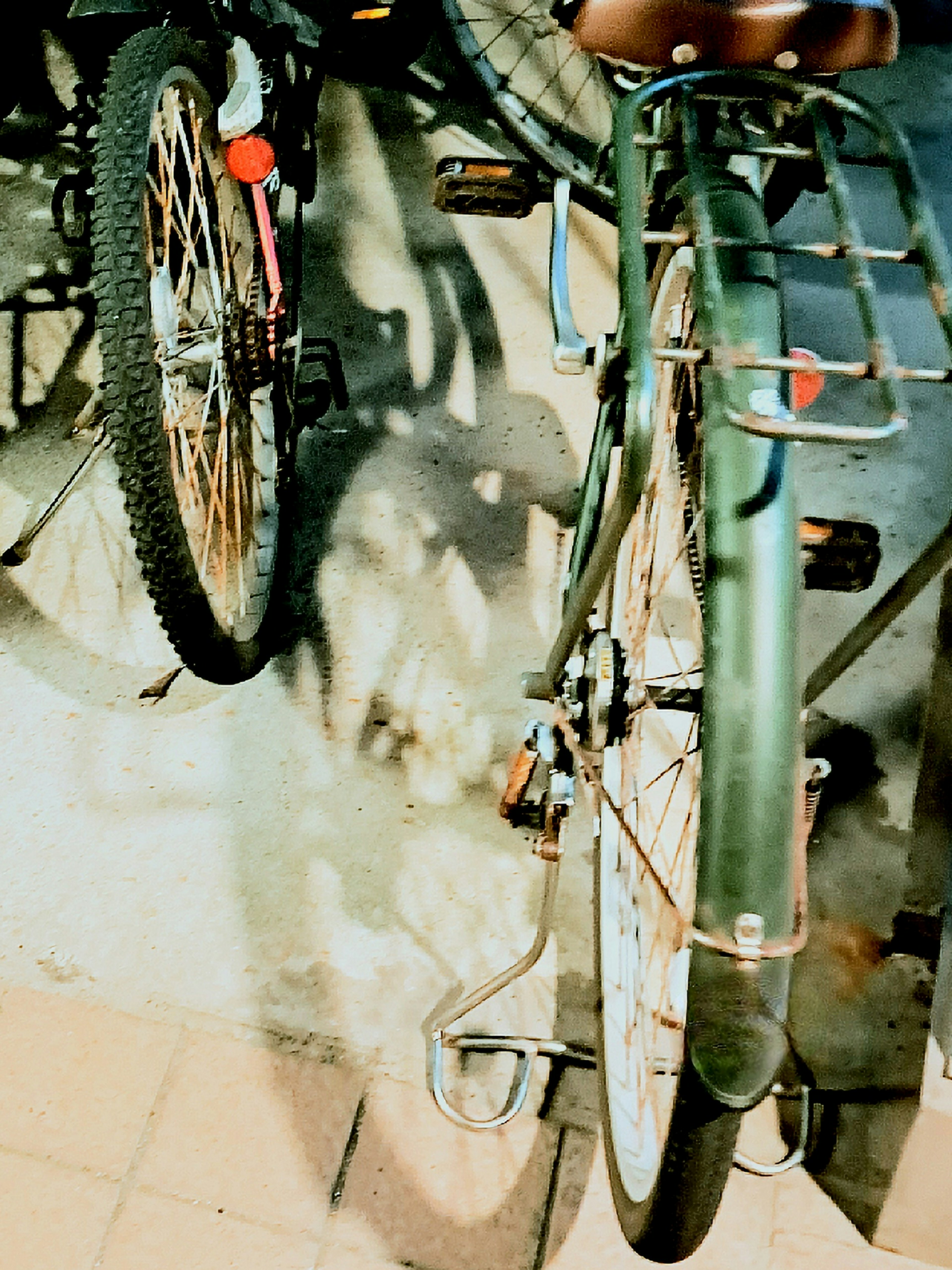 Imagen que muestra los detalles traseros y del neumático de una bicicleta