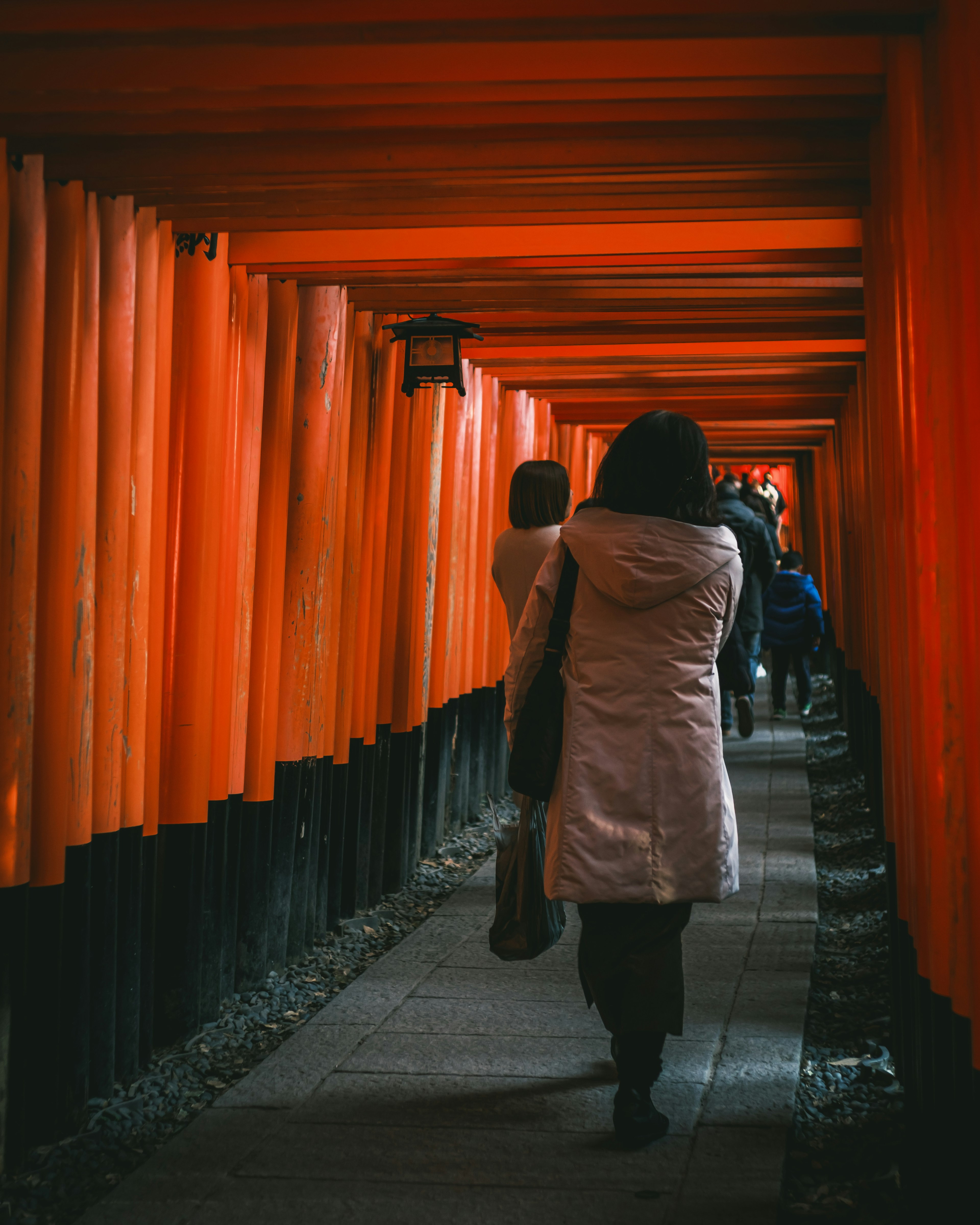 Personas caminando a través de un túnel de puertas torii rojas