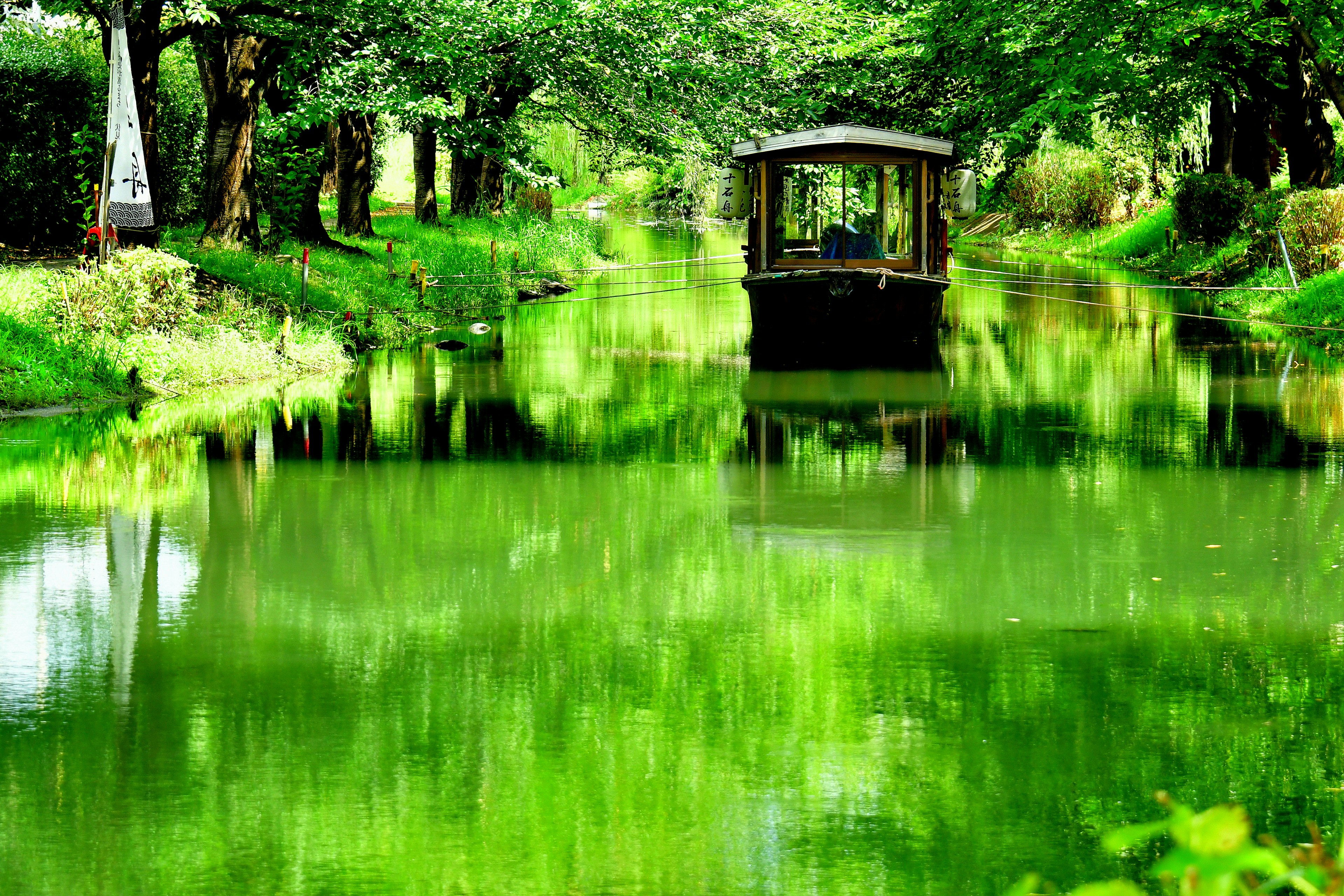 Un pequeño barco en un río verde rodeado de árboles frondosos