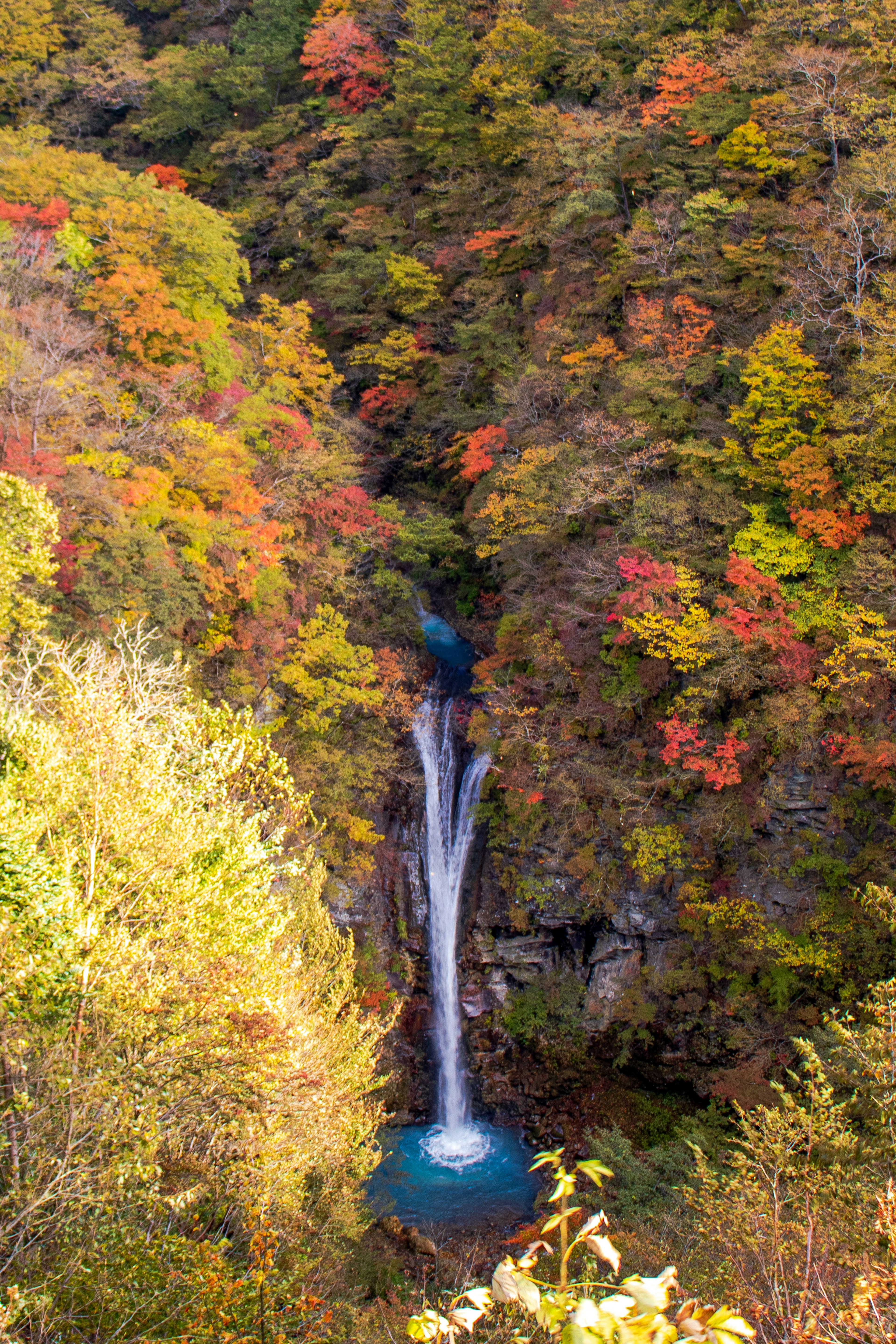 Hermosa cascada rodeada de follaje otoñal