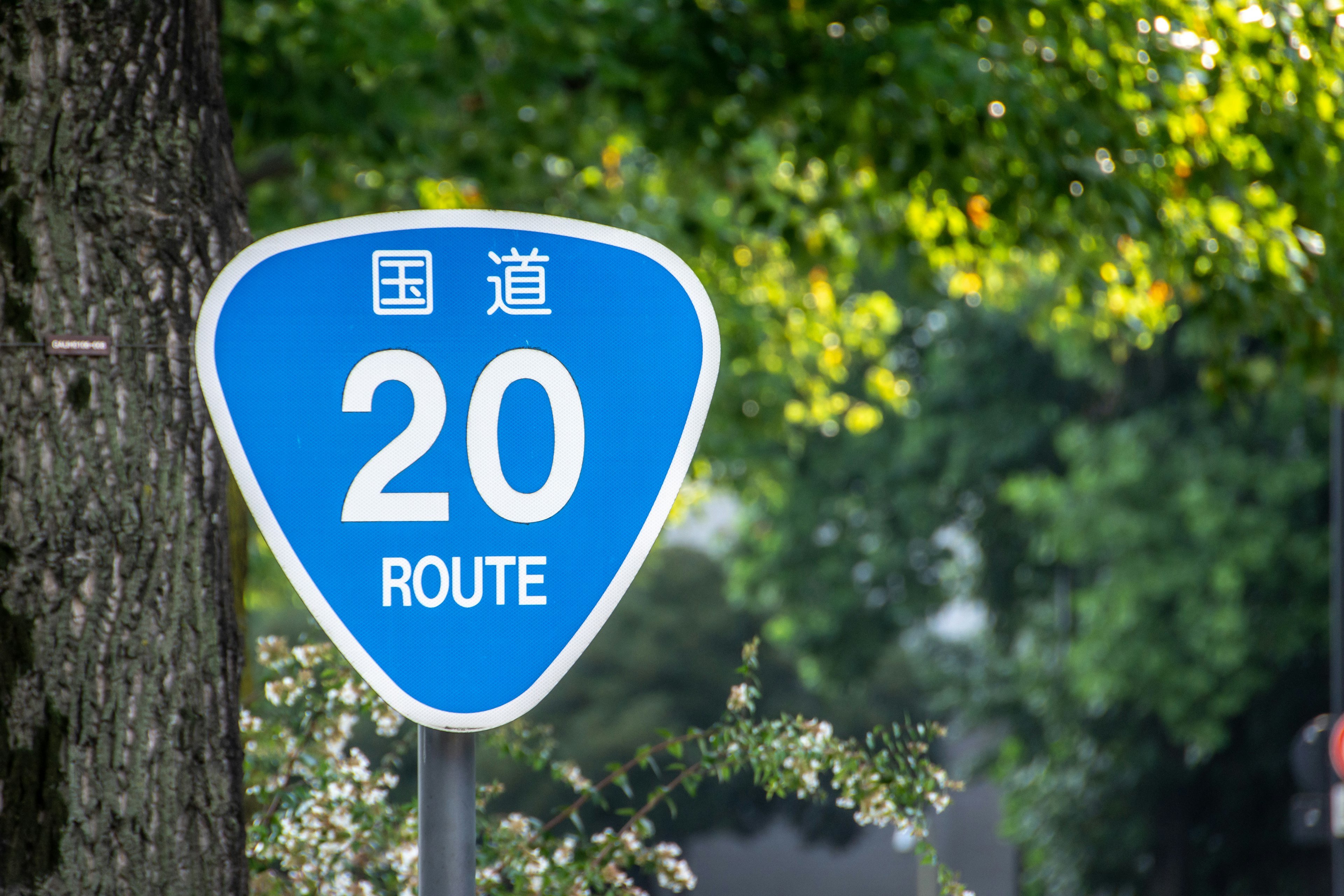 Blue triangular sign displaying '20 ROUTE'