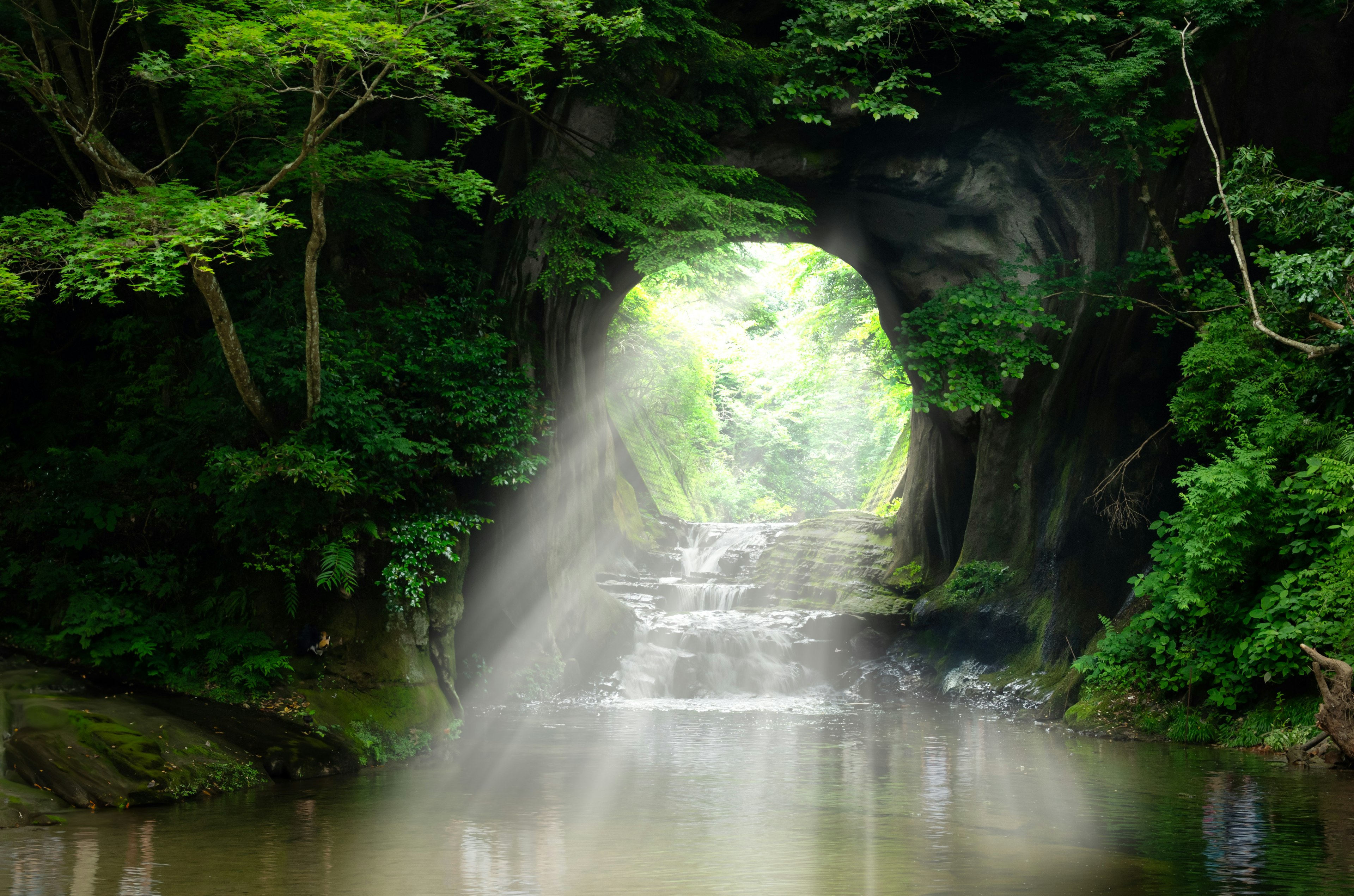 Beautiful landscape with light streaming through a green tunnel