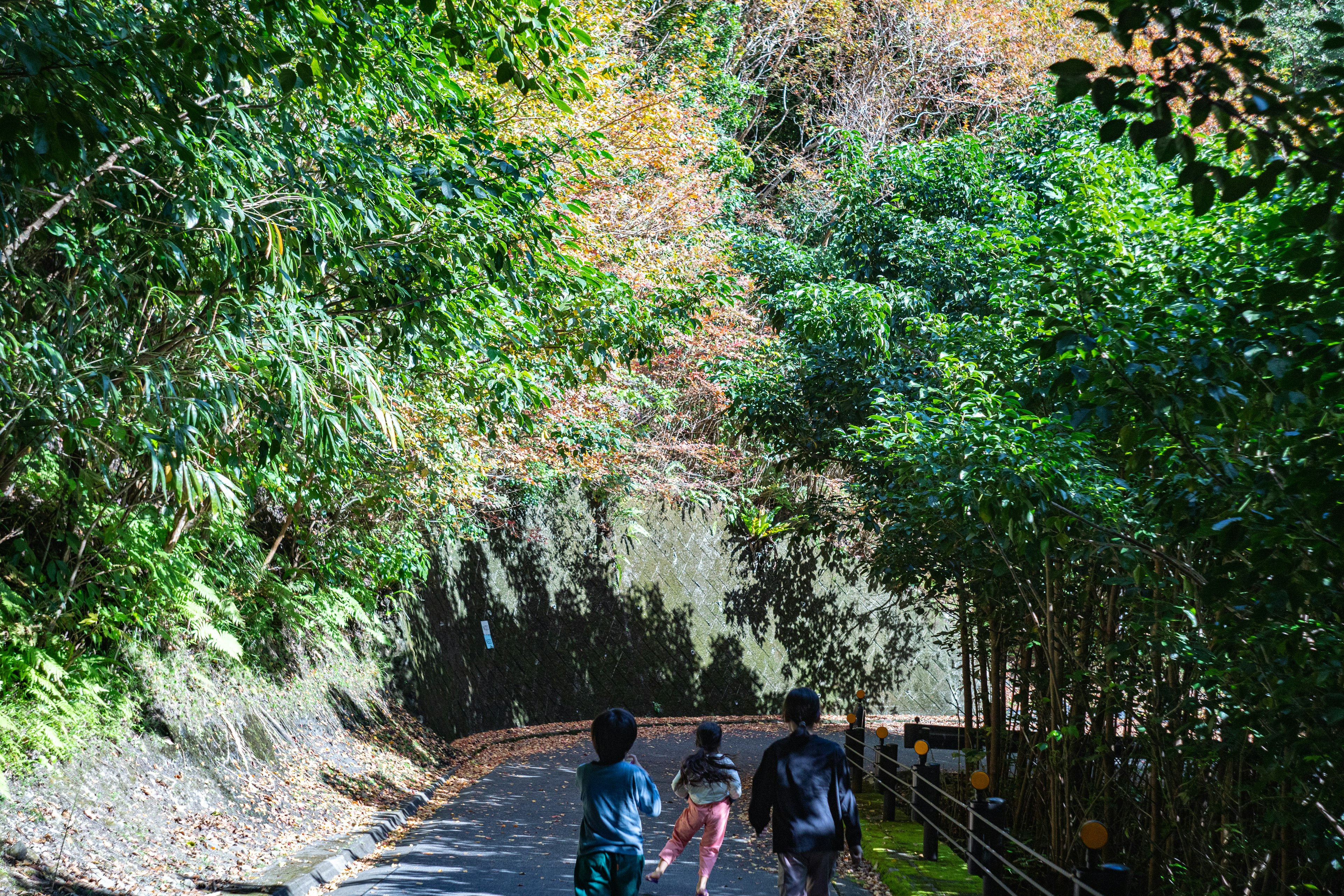 Trois personnes marchant sur un chemin forestier luxuriant