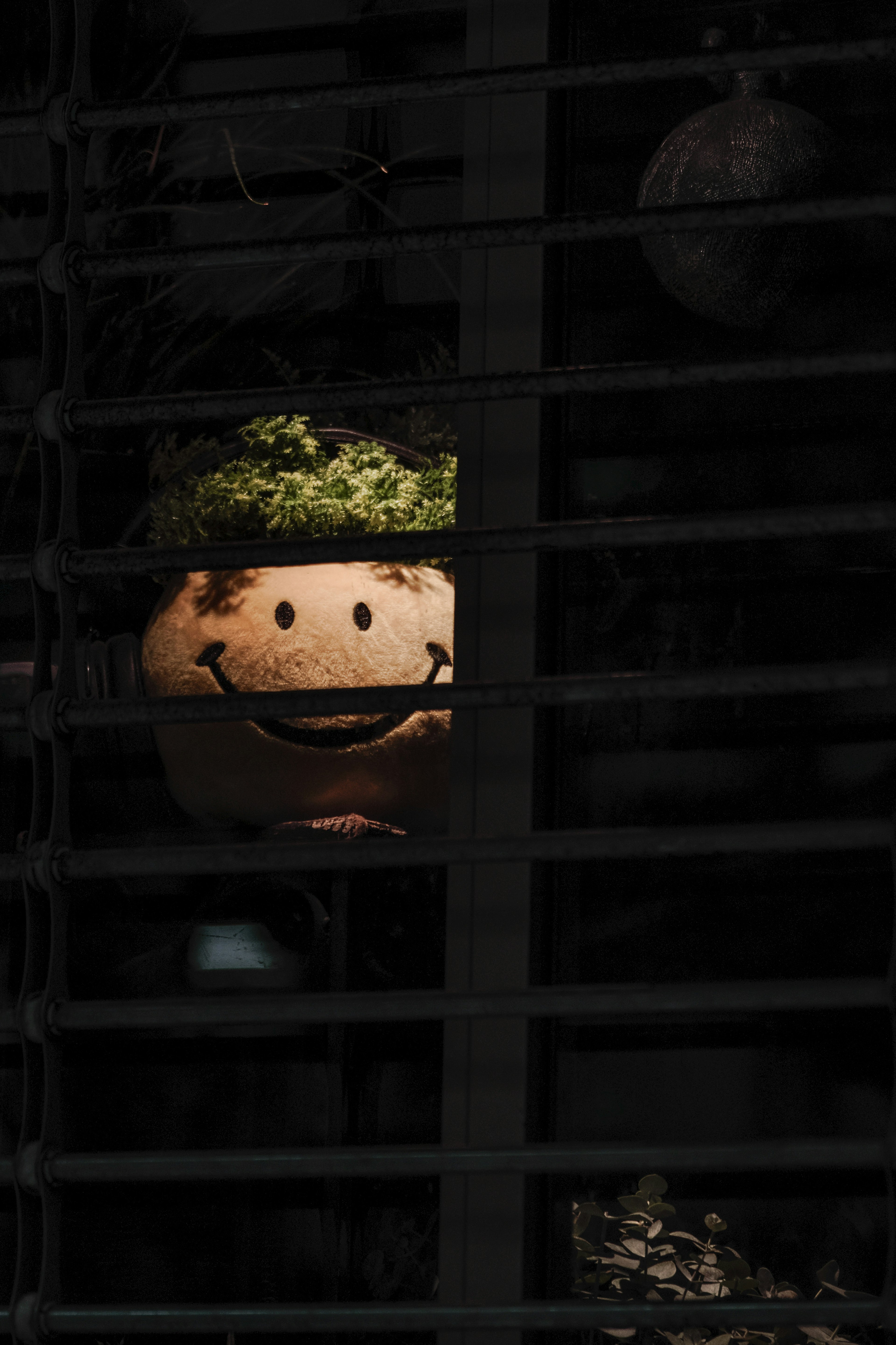 Smiling face object with green moss seen through window blinds