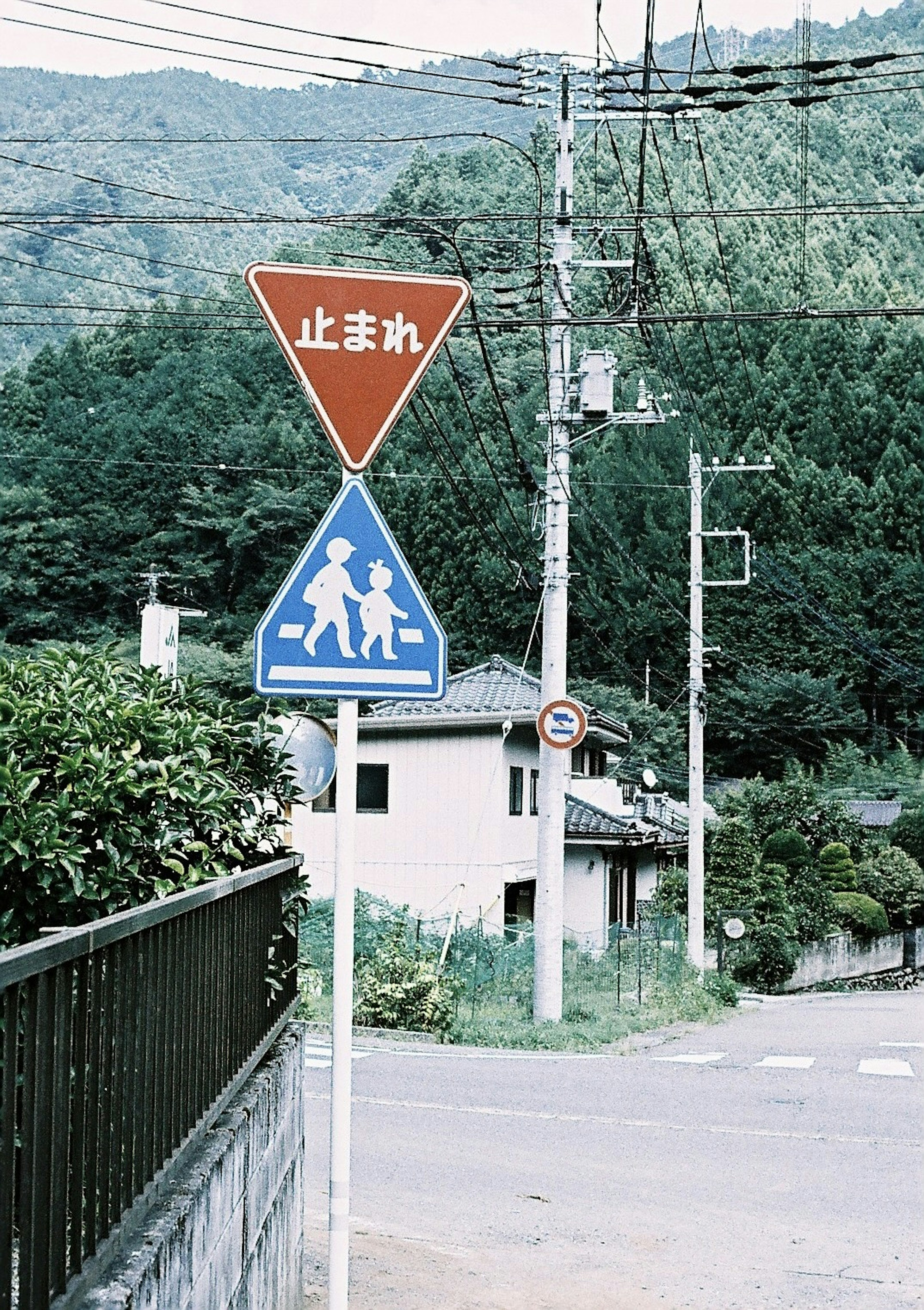 赤い三角形の標識と青い歩行者の標識がある田舎の風景