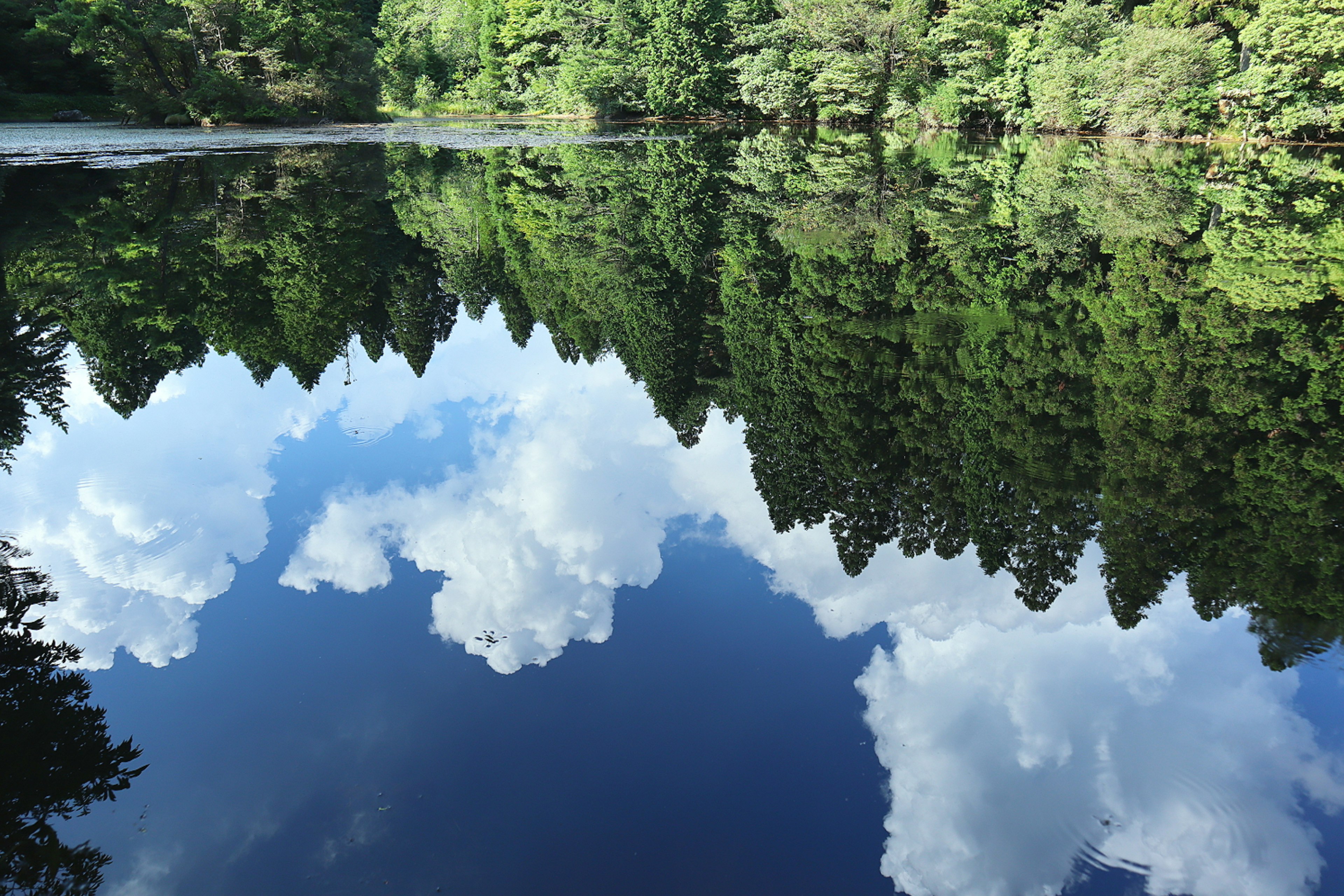 Ruhiger See spiegelt blauen Himmel und weiße Wolken umgeben von grünen Bäumen