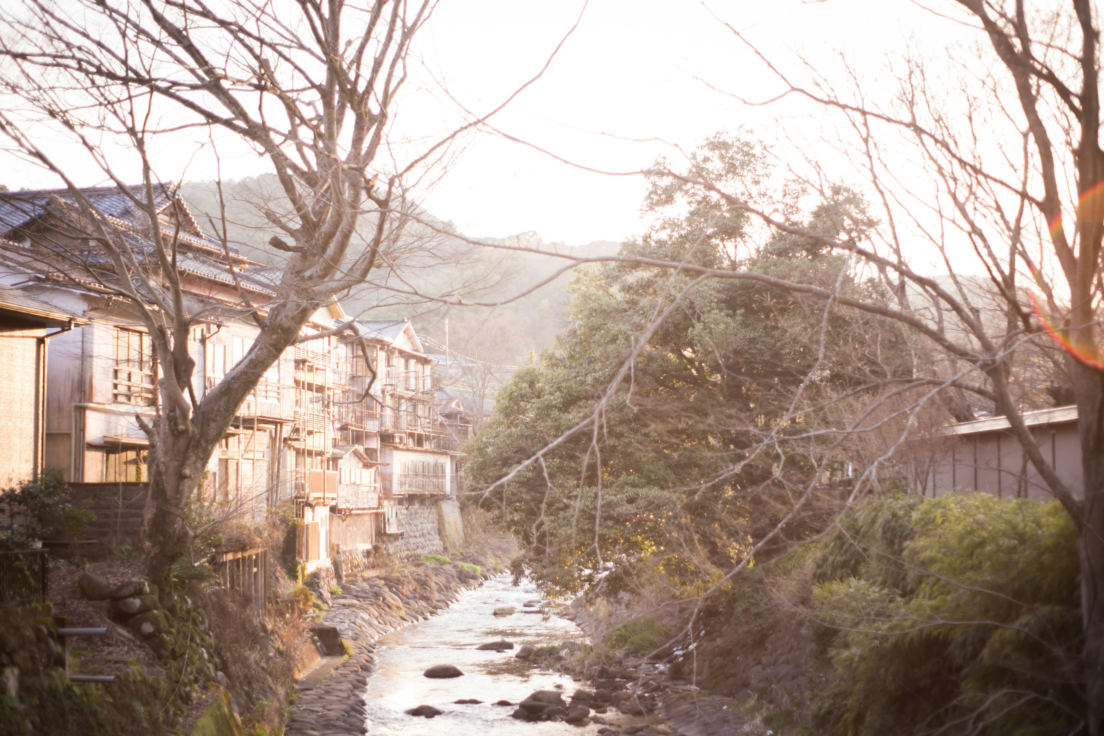 Tranquil riverside scene with old houses and bare trees