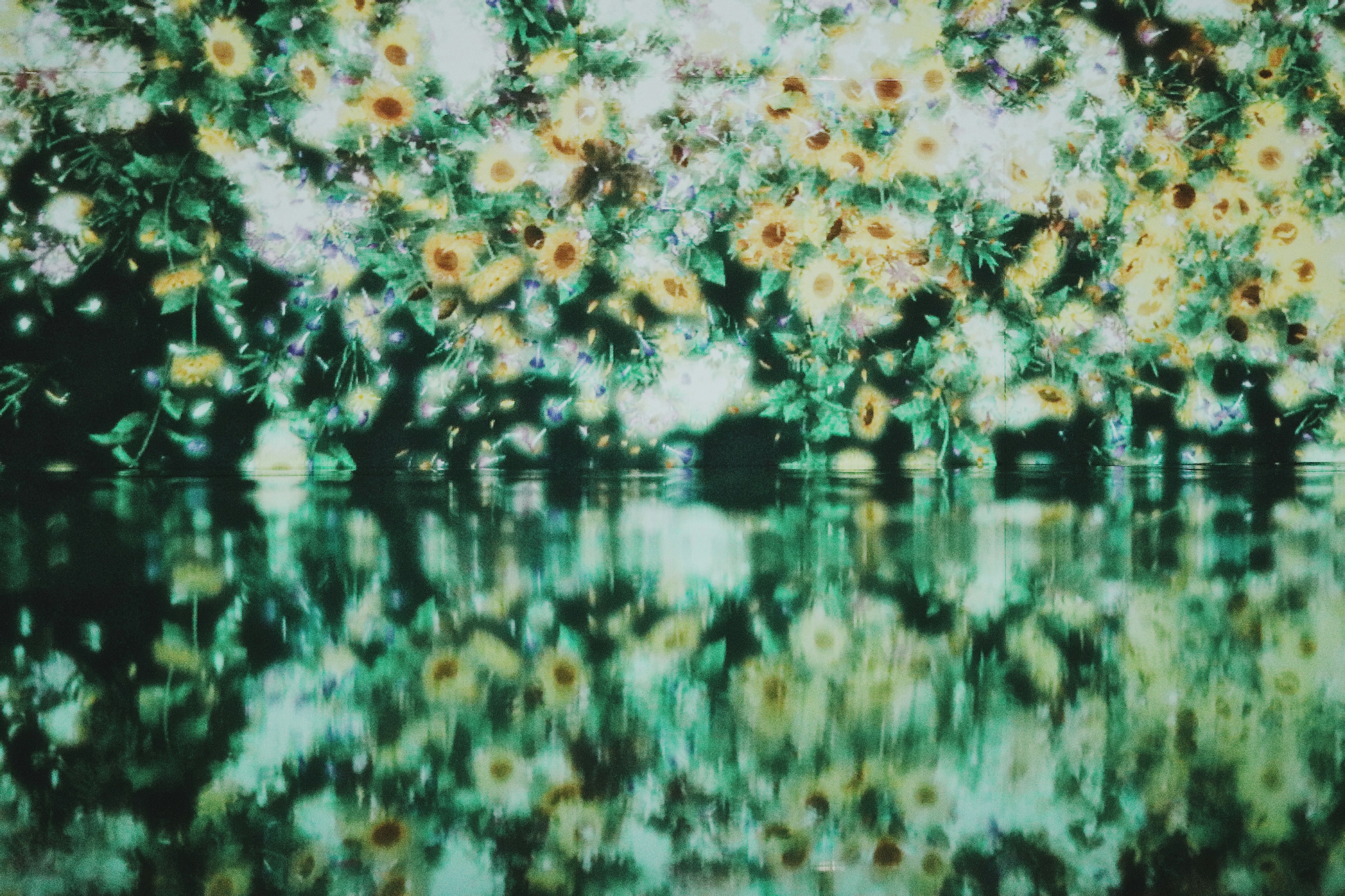 Una hermosa escena de flores amarillas y hojas verdes reflejadas en el agua