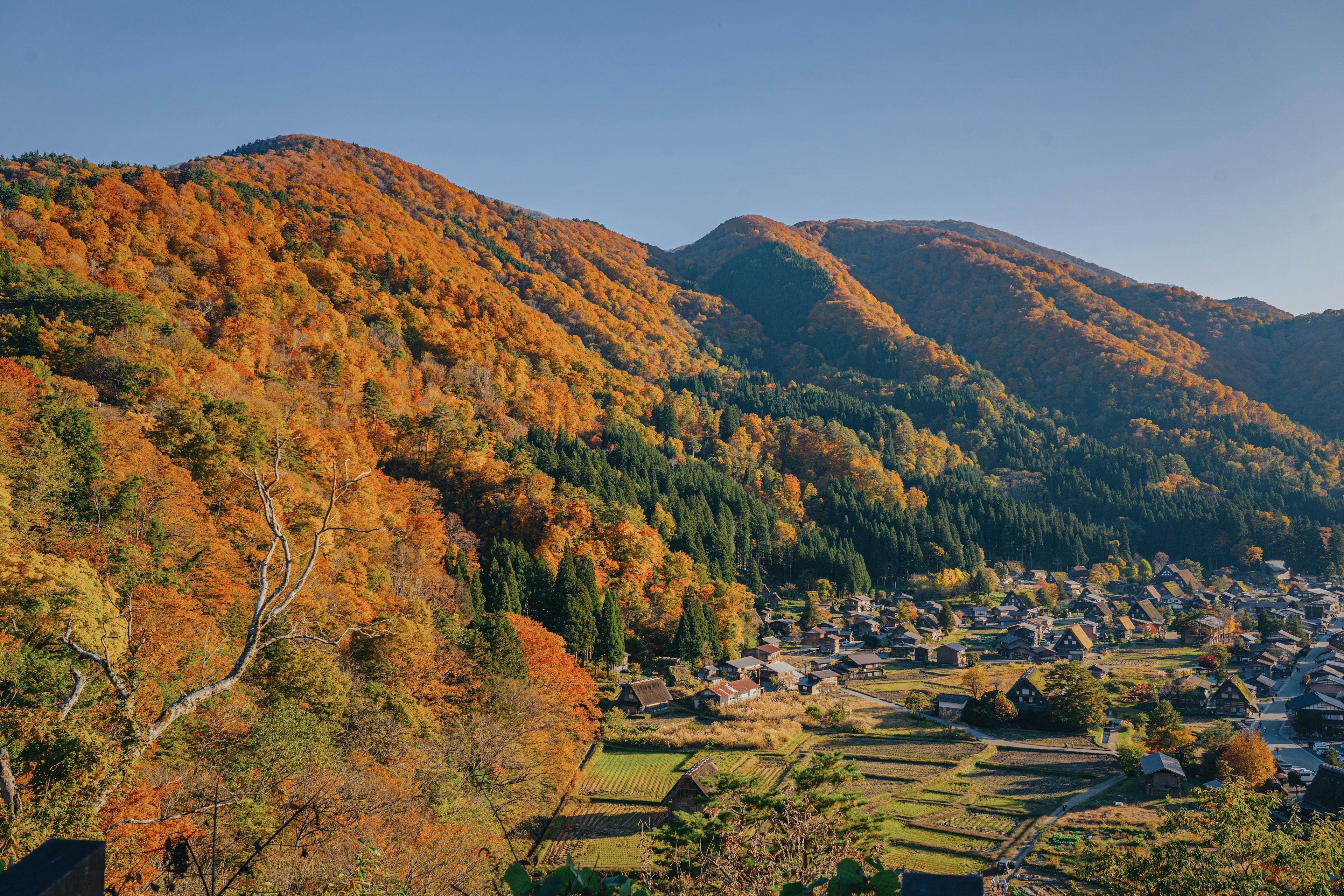 美しい秋の山と村の風景色