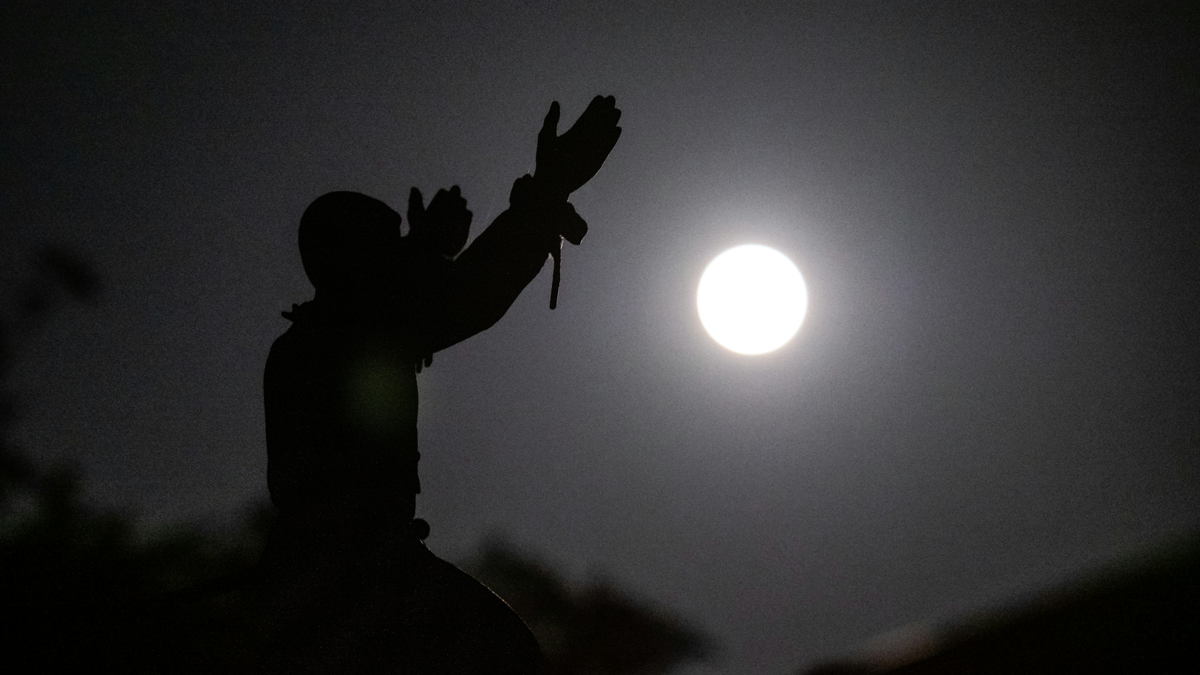 Silhouette d'une personne avec les mains étendues sous la lumière de la lune