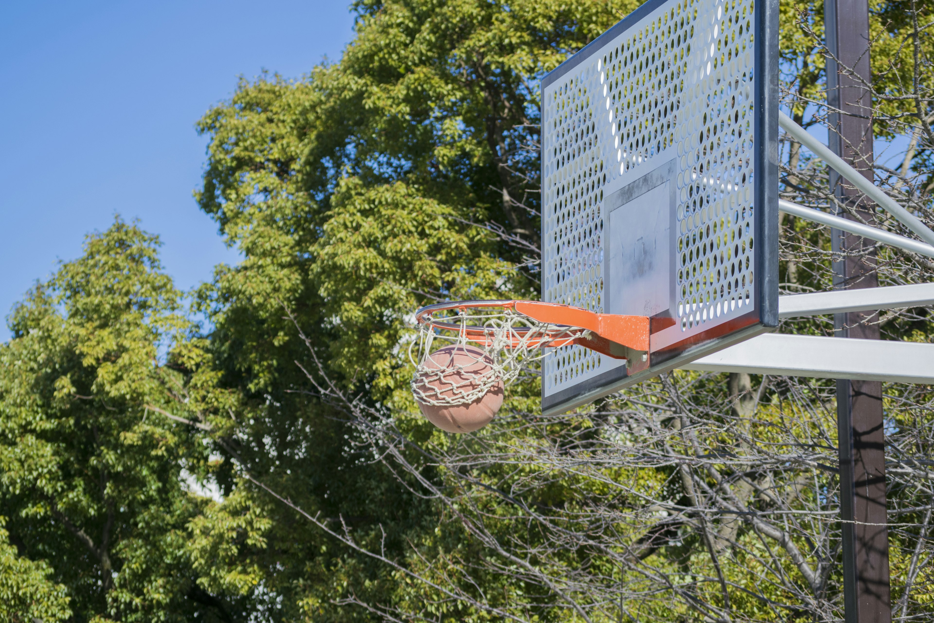 Imagen de una pelota de baloncesto entrando en la canasta bajo un cielo azul claro y árboles verdes