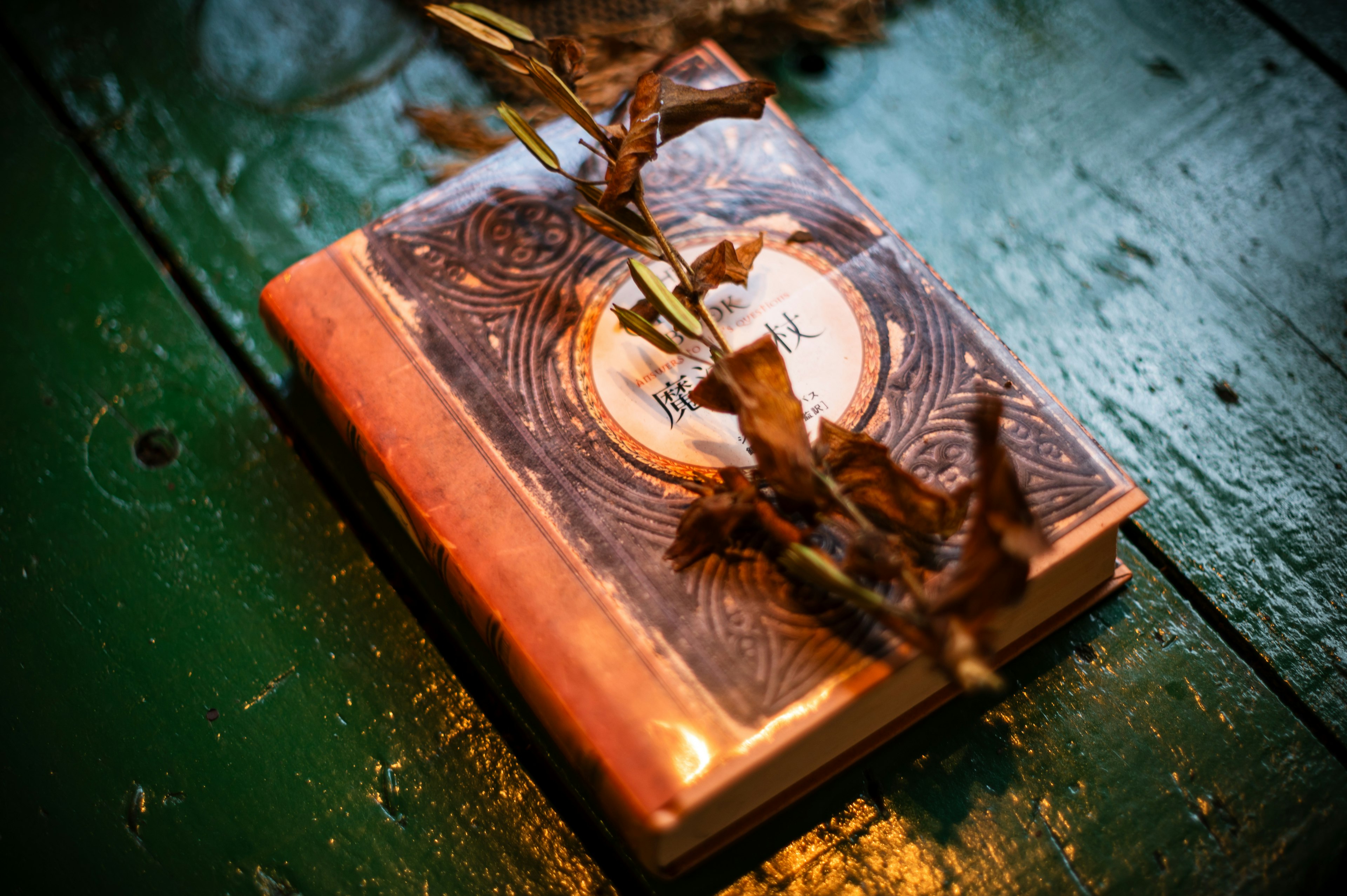 Un libro vintage con una cubierta decorativa reposando sobre una superficie de madera verde adornada con hojas secas