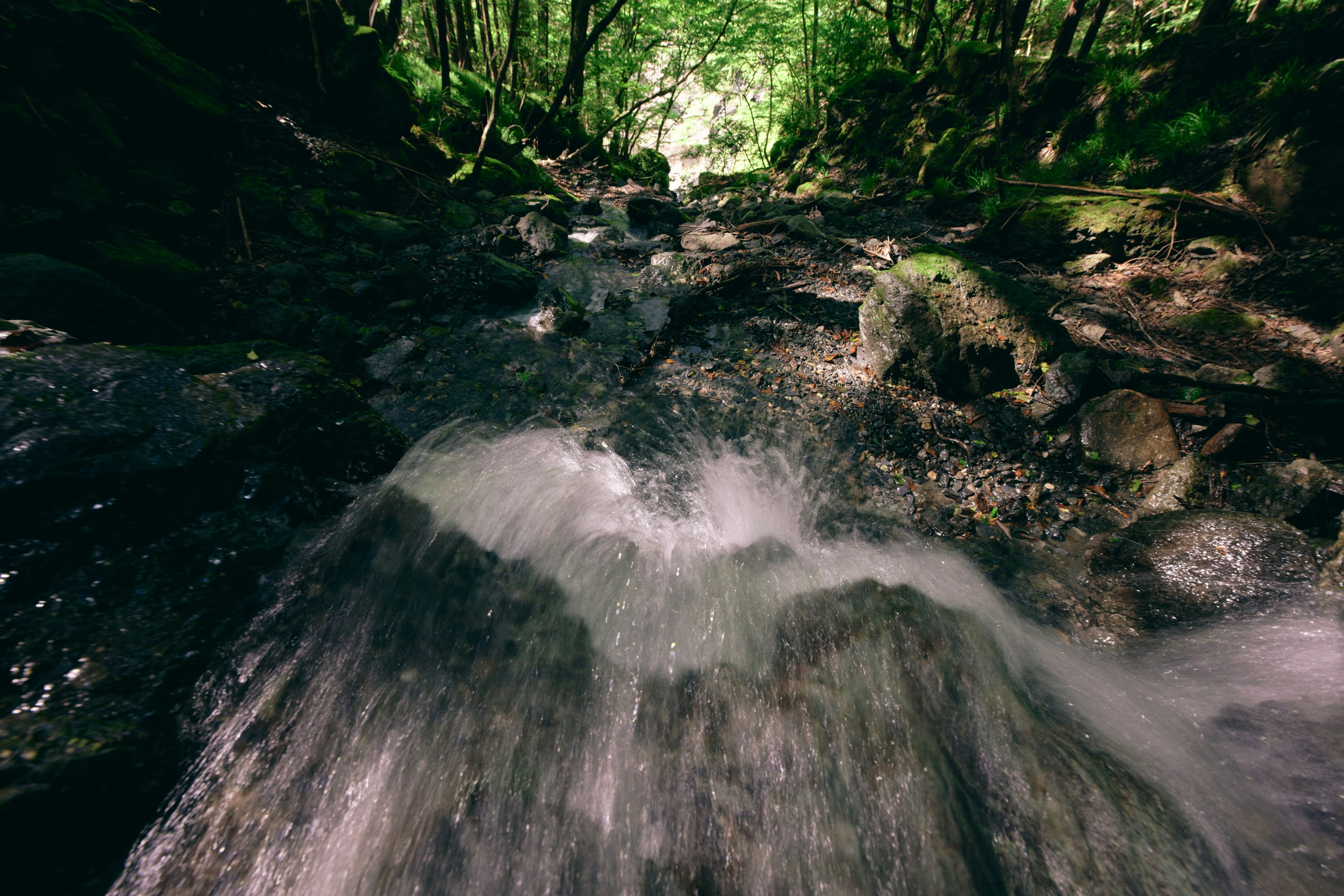 Close-up of a stream flowing through a green forest featuring water flow and rock arrangement