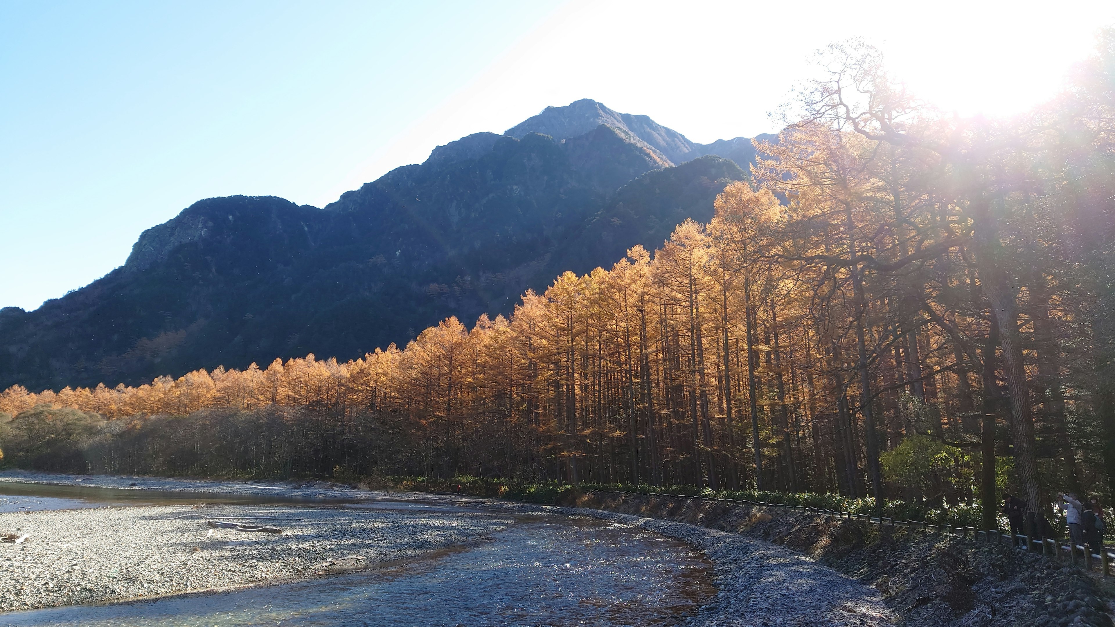 Scenic view of golden trees and mountains under sunlight