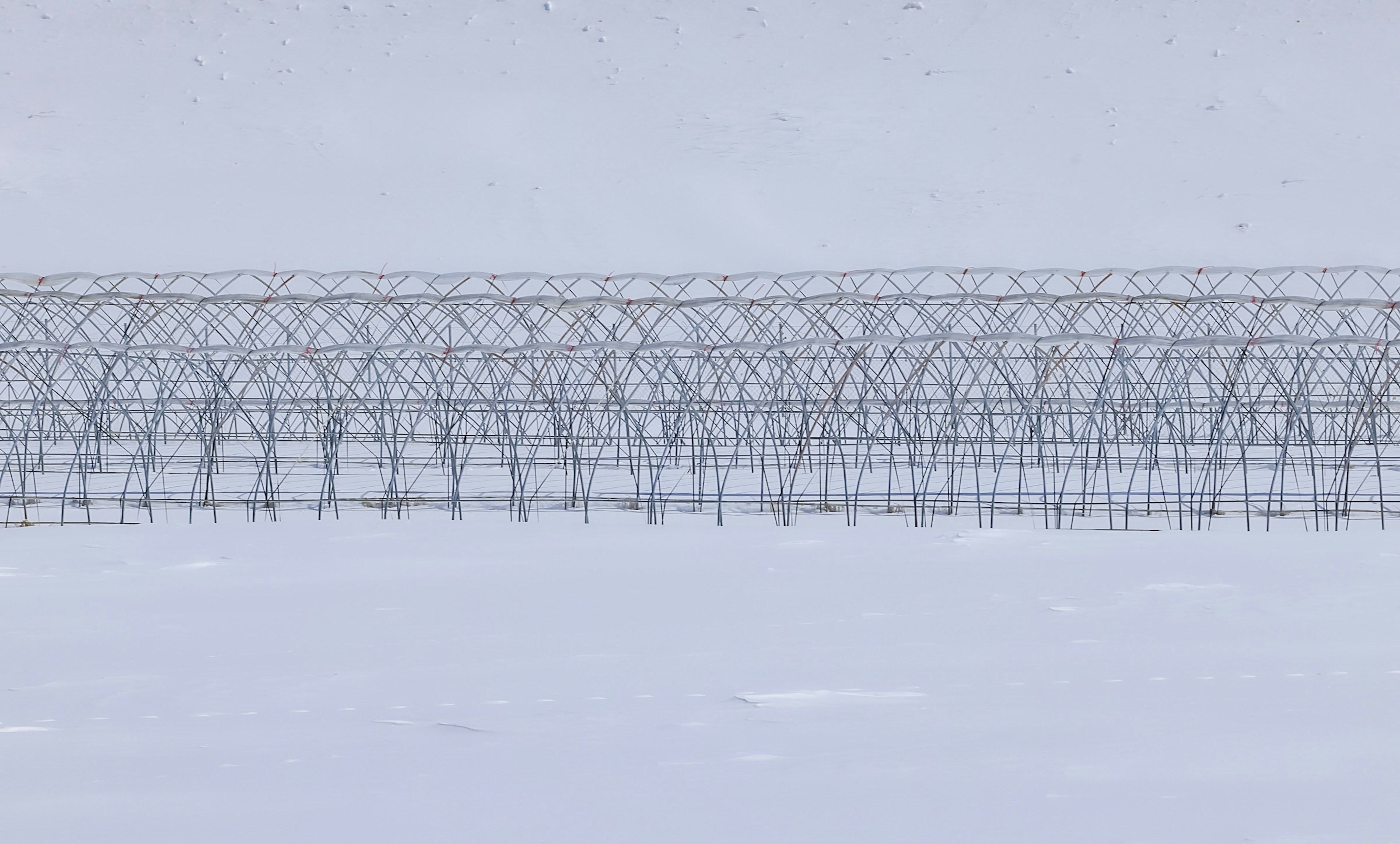 雪に覆われた風景にある金属製の格子状構造