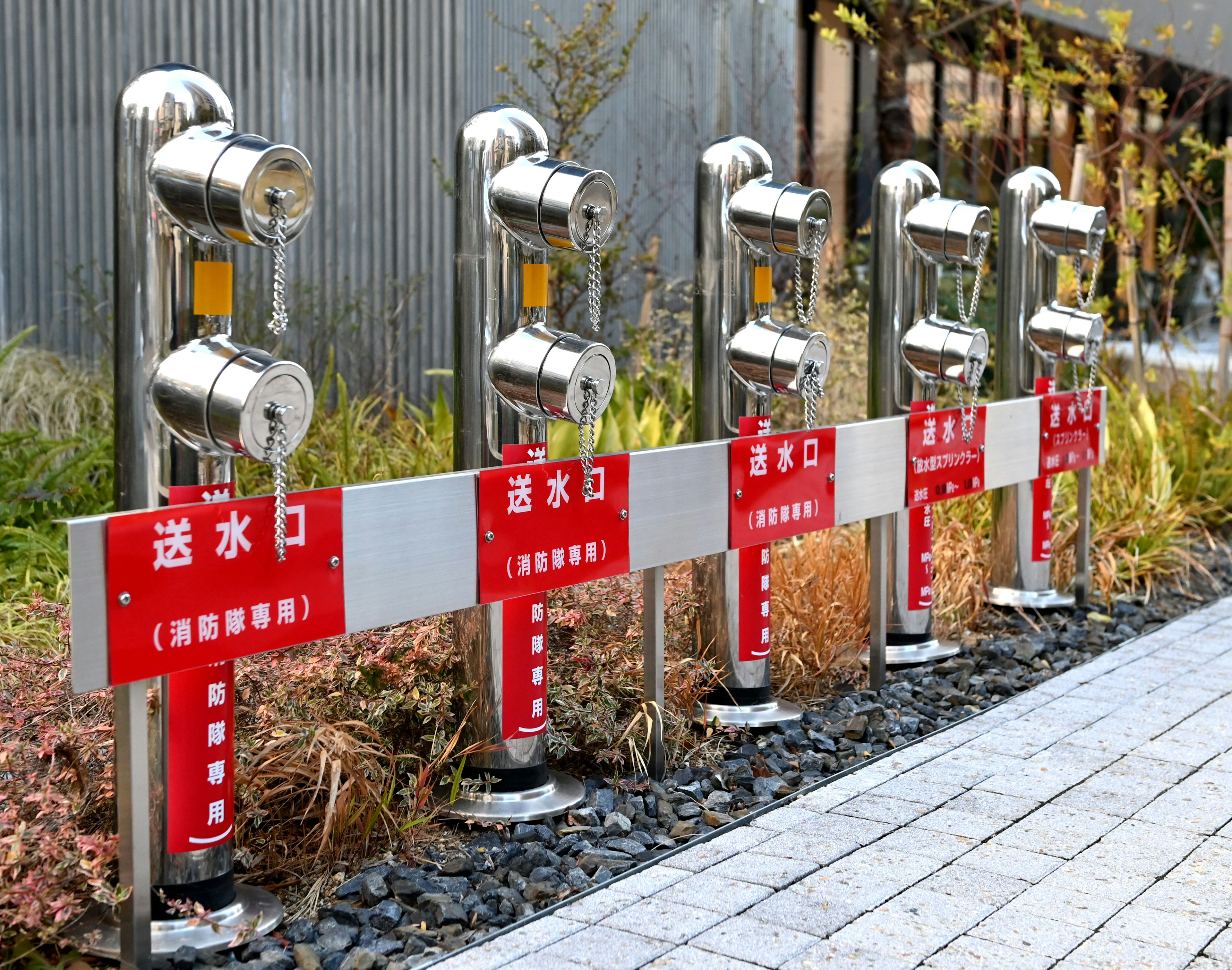 消防用水栓が並んでいる風景 植物が周囲に配置されている