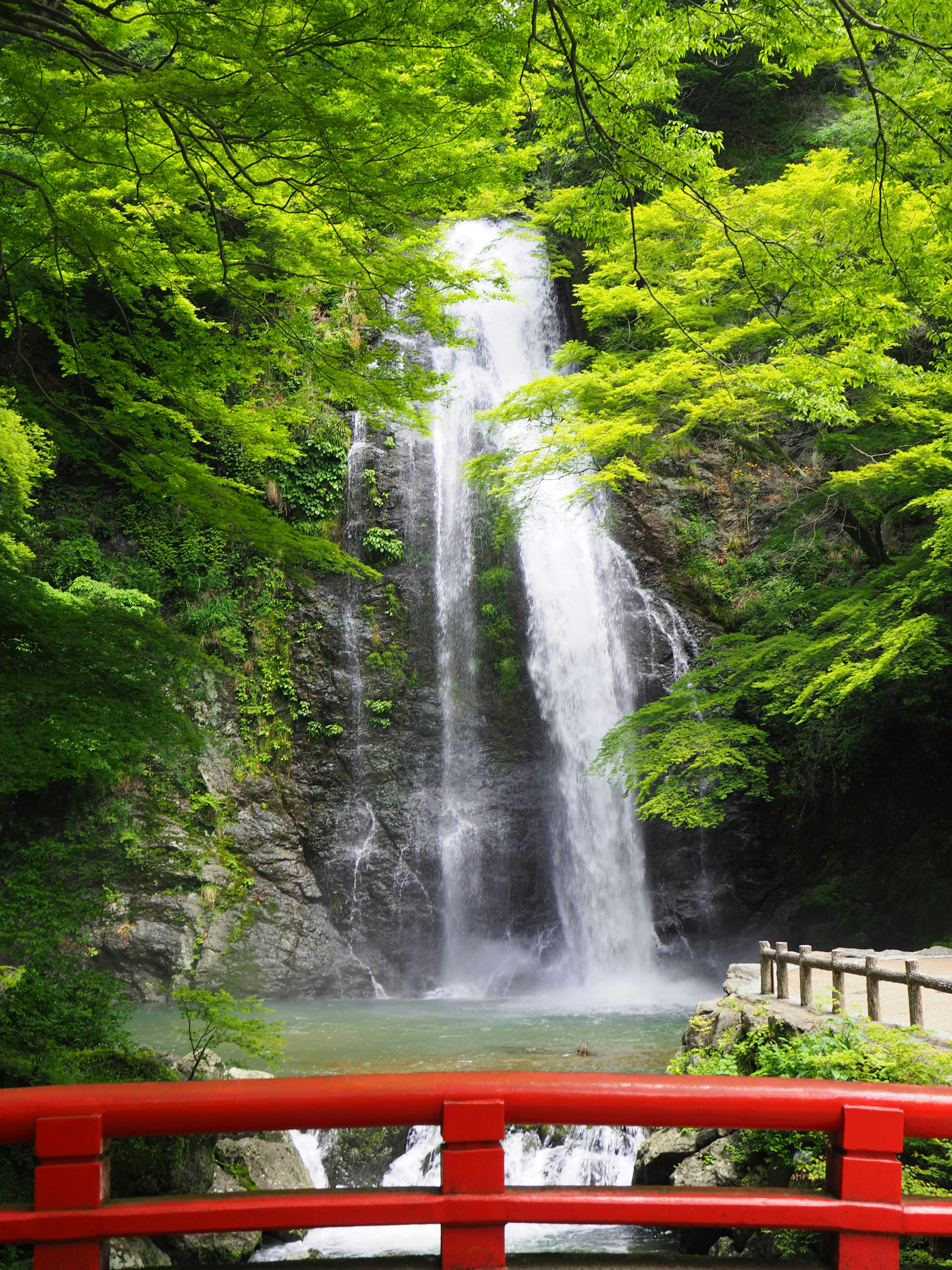 Air terjun yang indah dikelilingi pohon hijau dengan jembatan merah