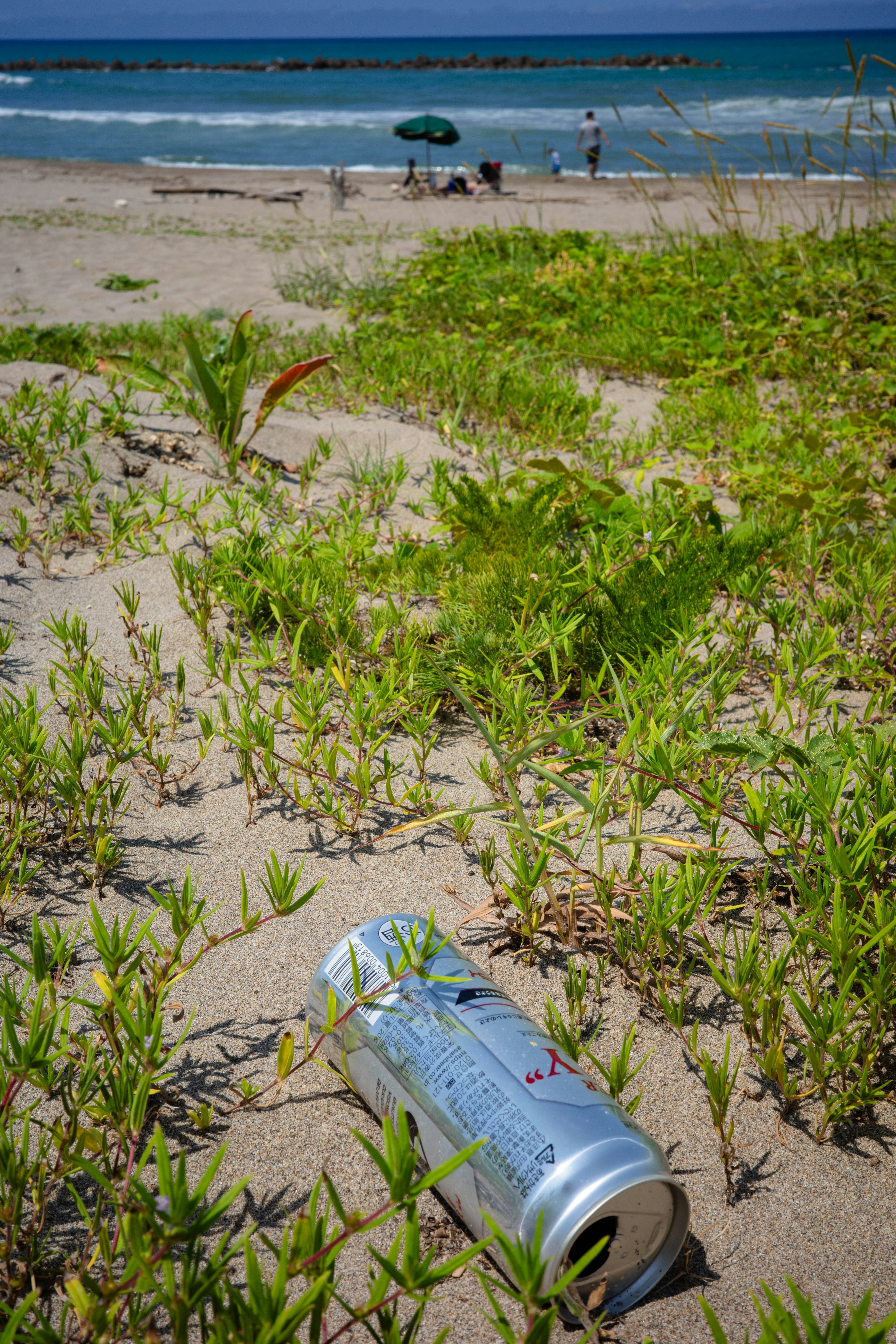 A beverage can lying on the sandy beach with green grass surrounding it