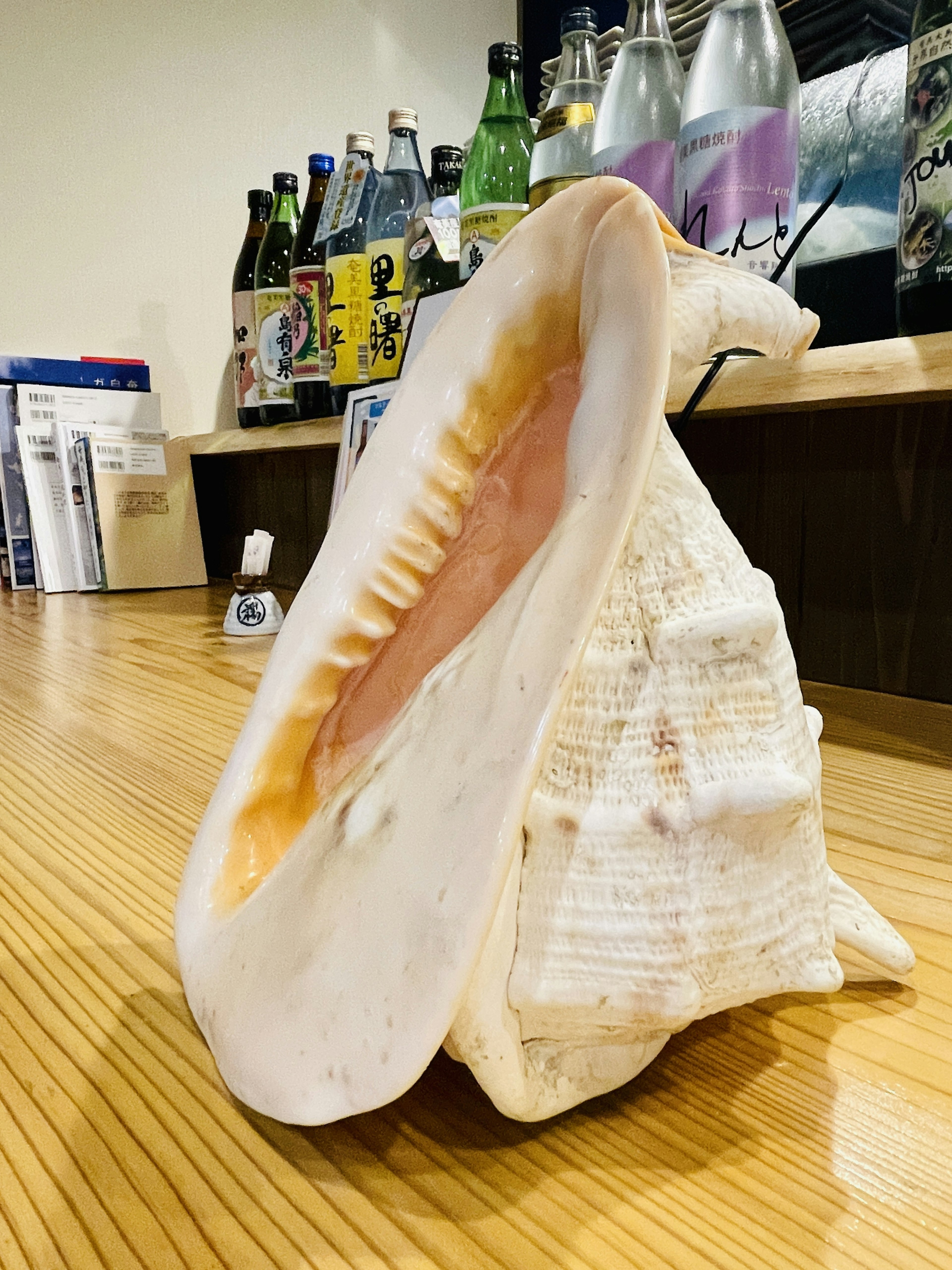 Large seashell displayed on a wooden counter