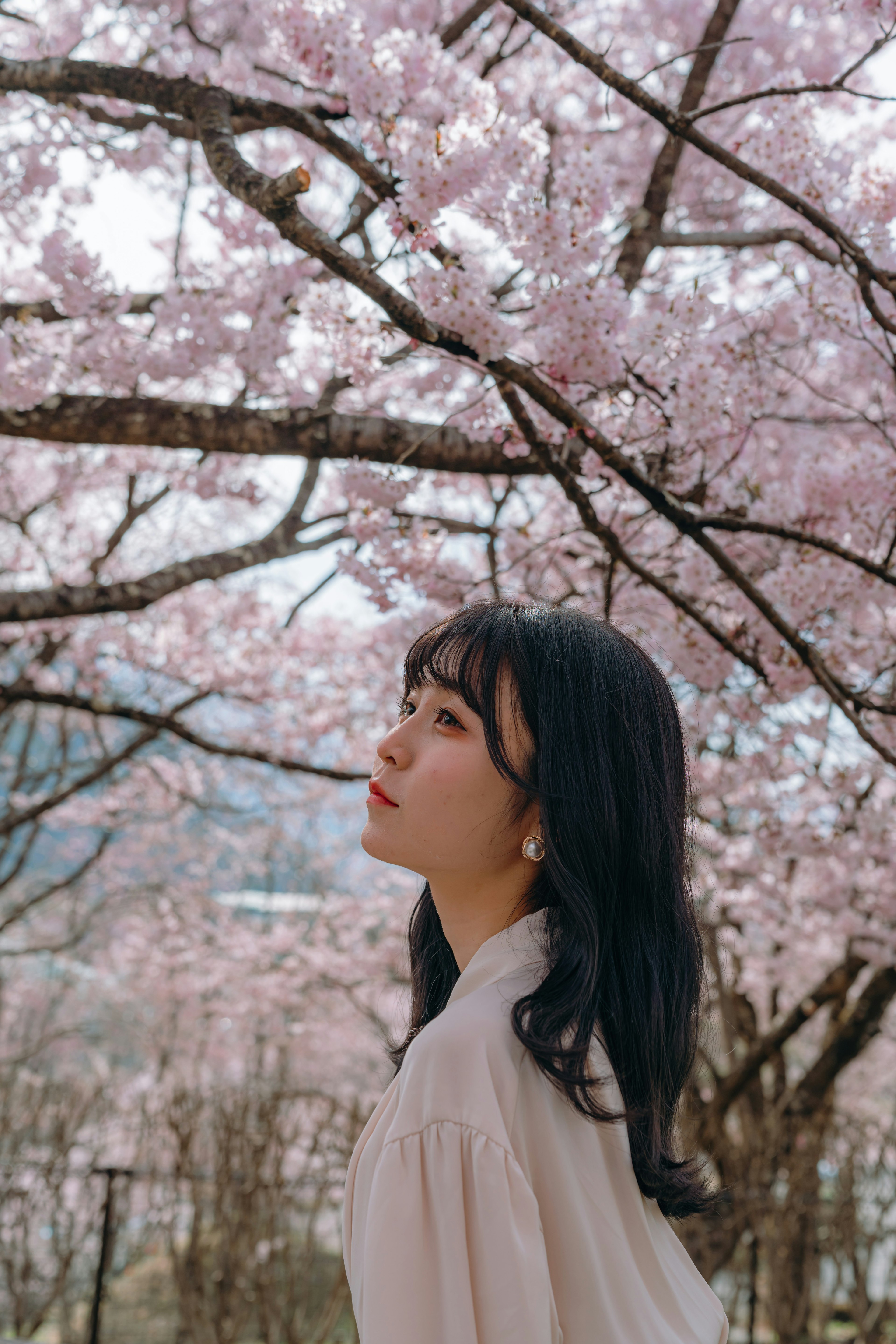 Femme de profil sous des cerisiers en fleurs