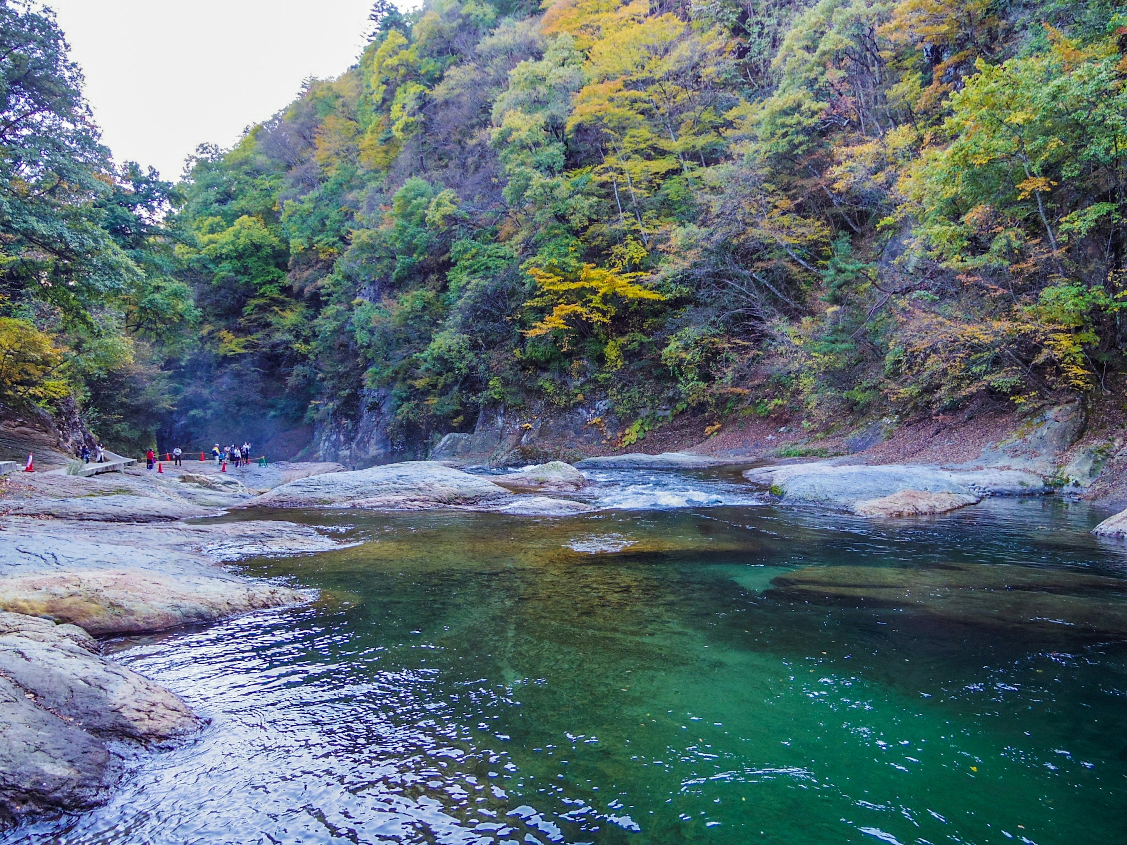 ทิวทัศน์ที่สวยงามของลำธารใสล้อมรอบด้วยต้นไม้สีเขียวและสีเหลือง