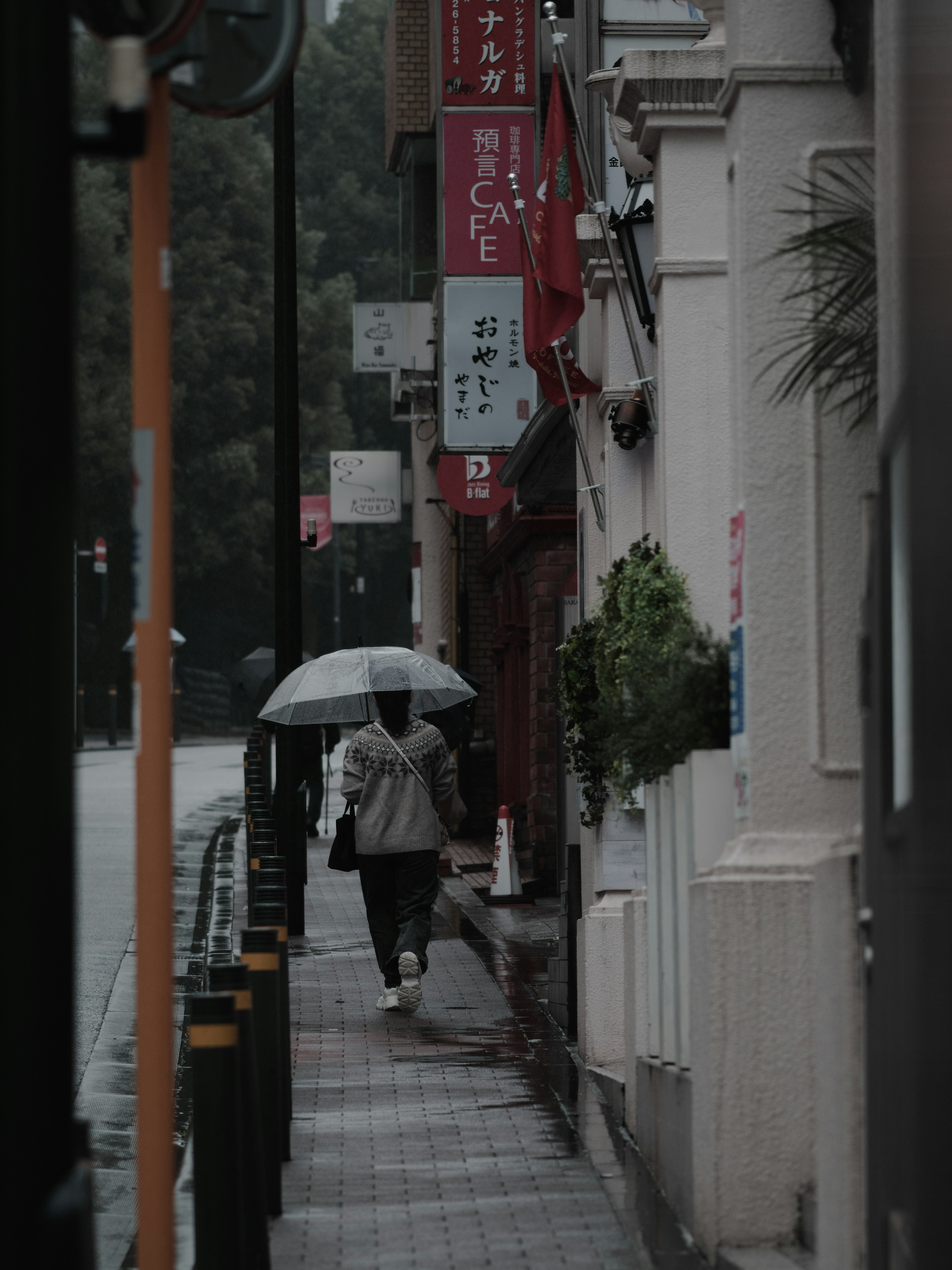 A person walking with an umbrella in the rain along a city street