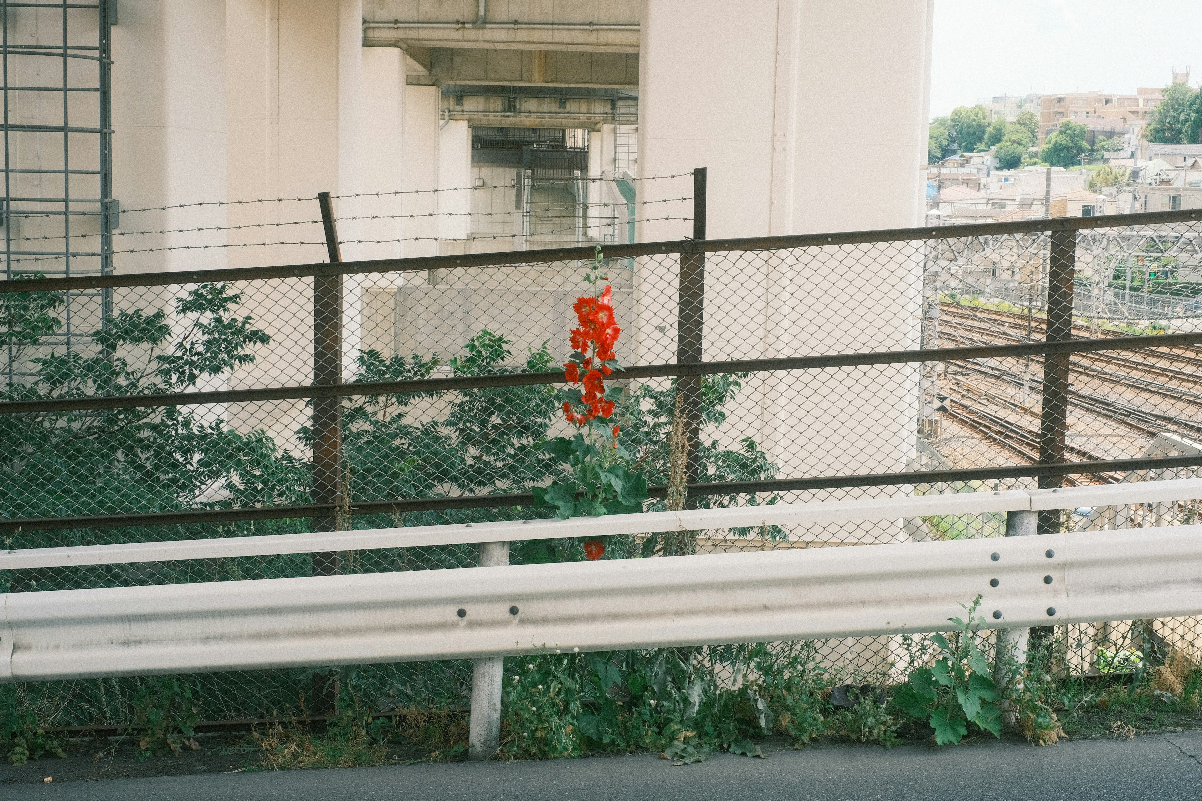 Un objeto rojo colgado de una valla en un entorno urbano