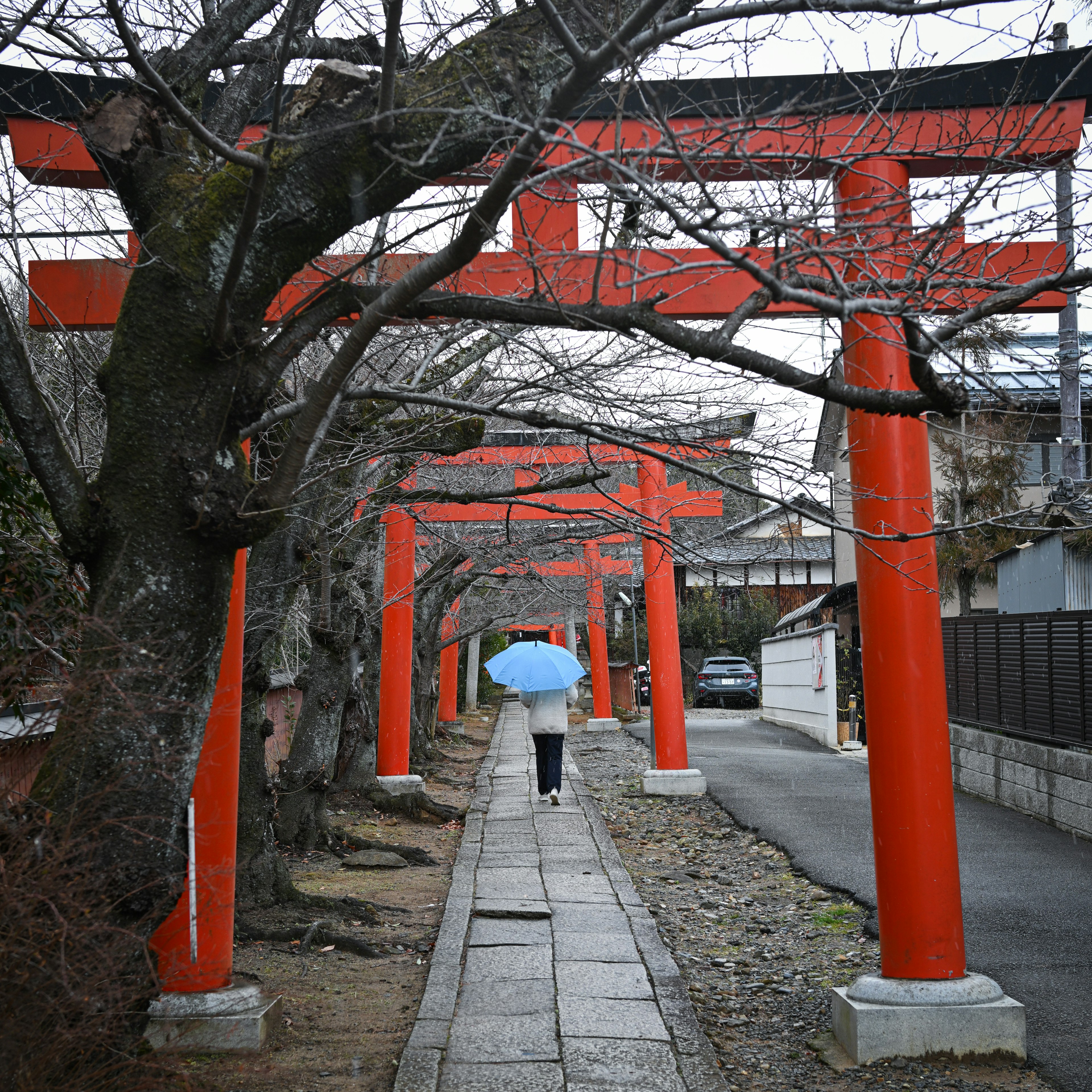 Eine Person, die unter roten Torii-Toren mit einem Regenschirm auf einem Weg geht