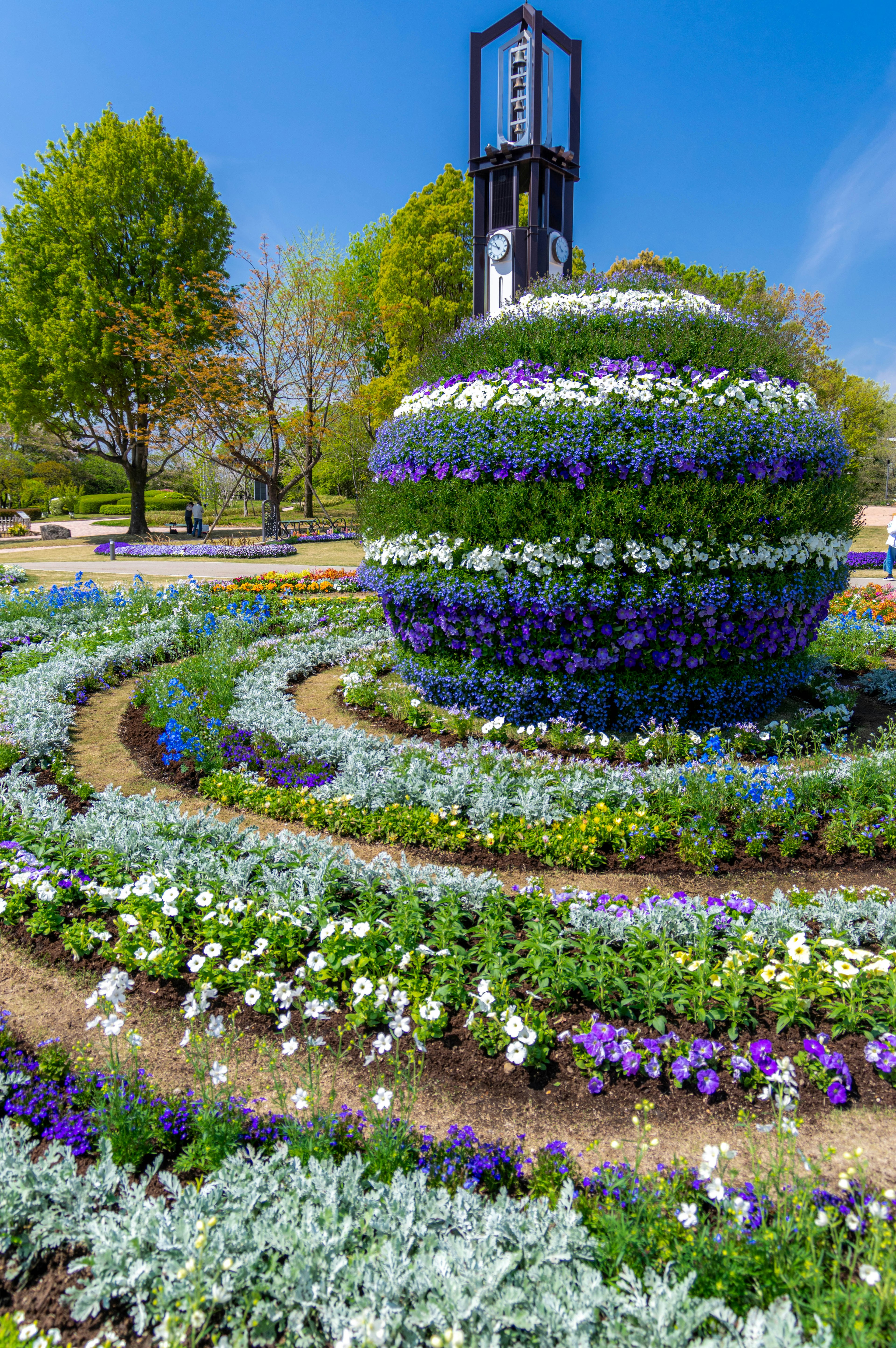 Beautiful garden scene with colorful flowers arranged in spiral patterns