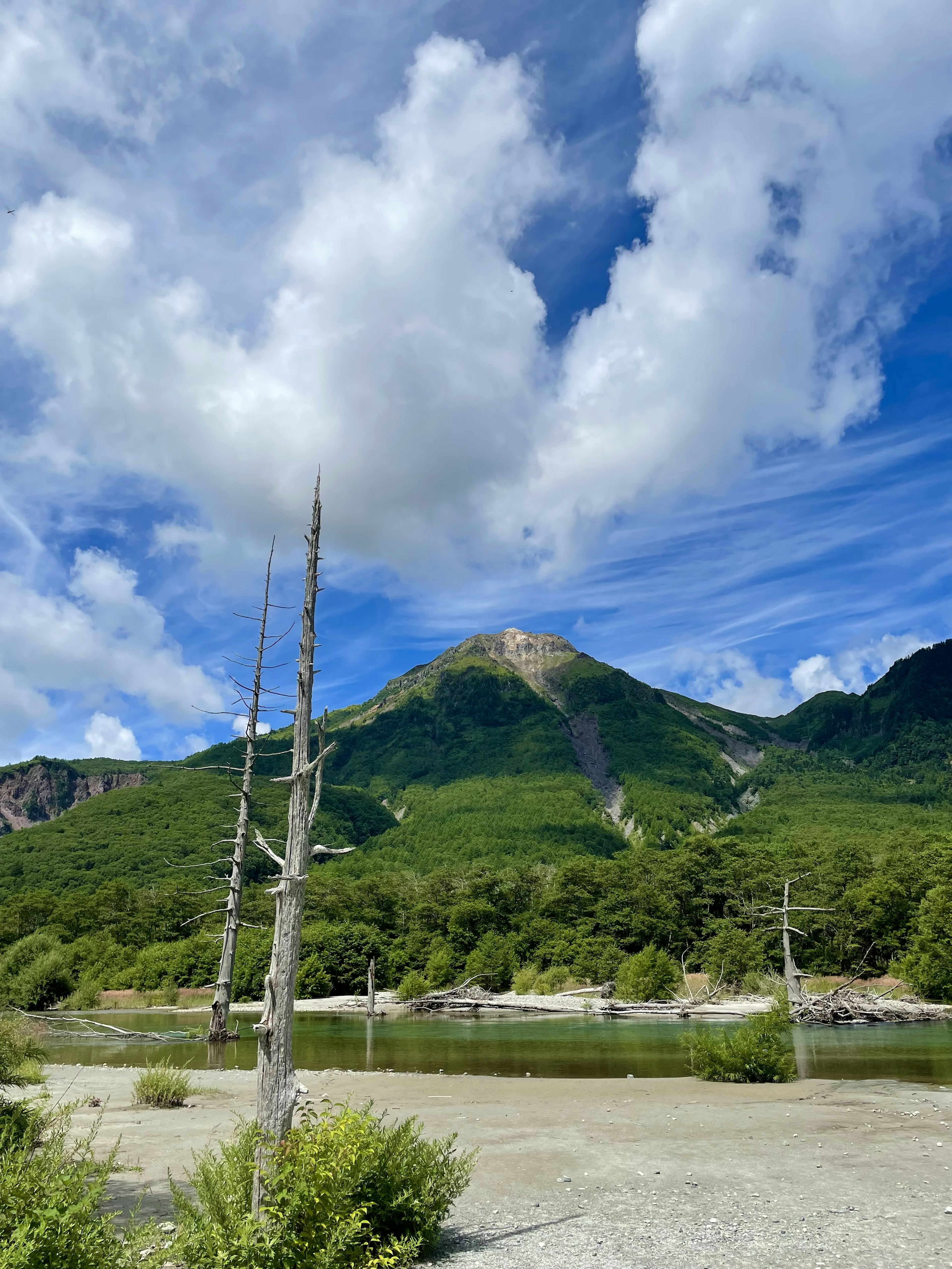 A landscape featuring green mountains under a blue sky with white clouds a dead tree stands in the foreground