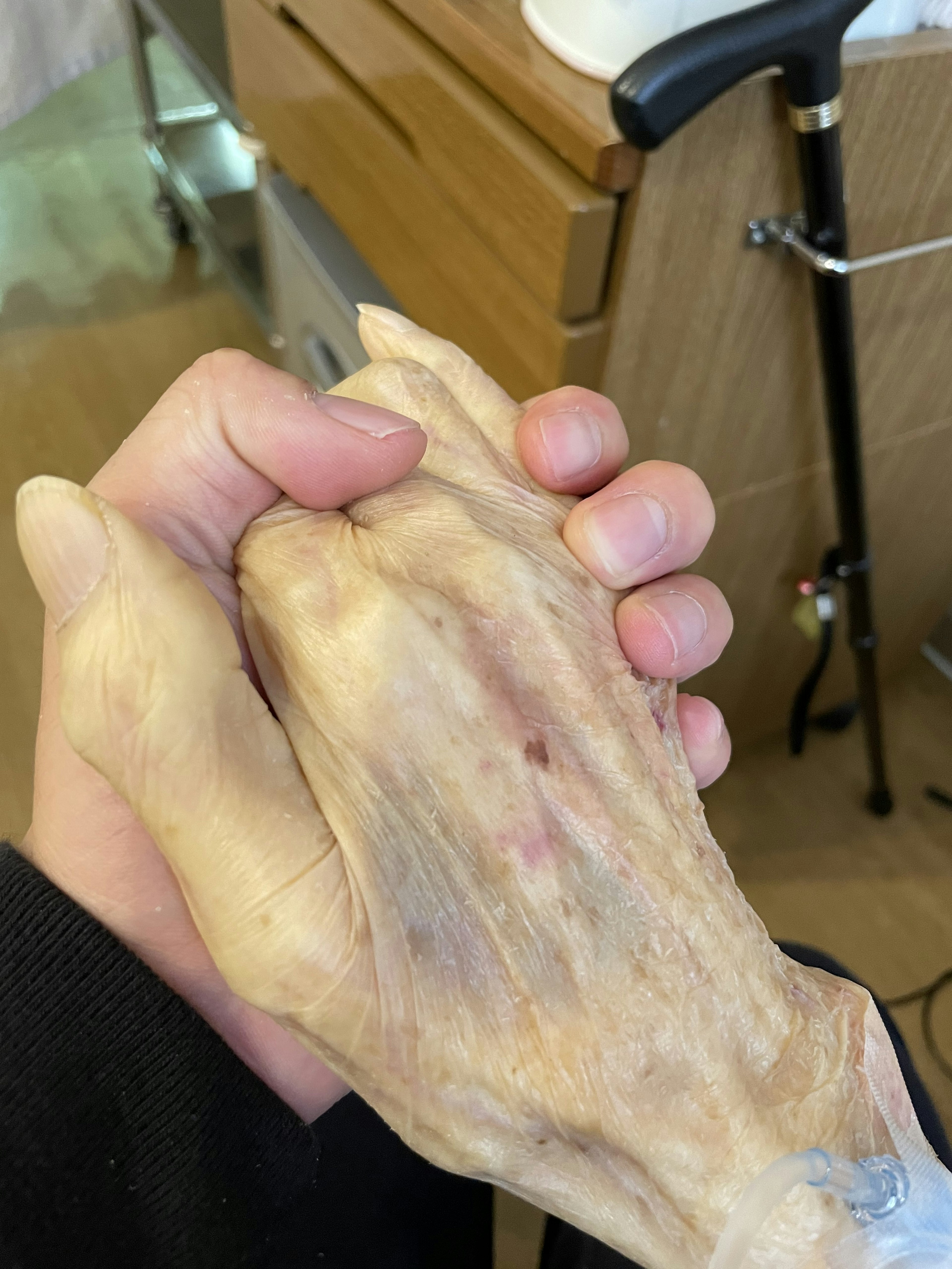 A photo of two hands holding each other, one is an elderly hand and the other is a younger hand