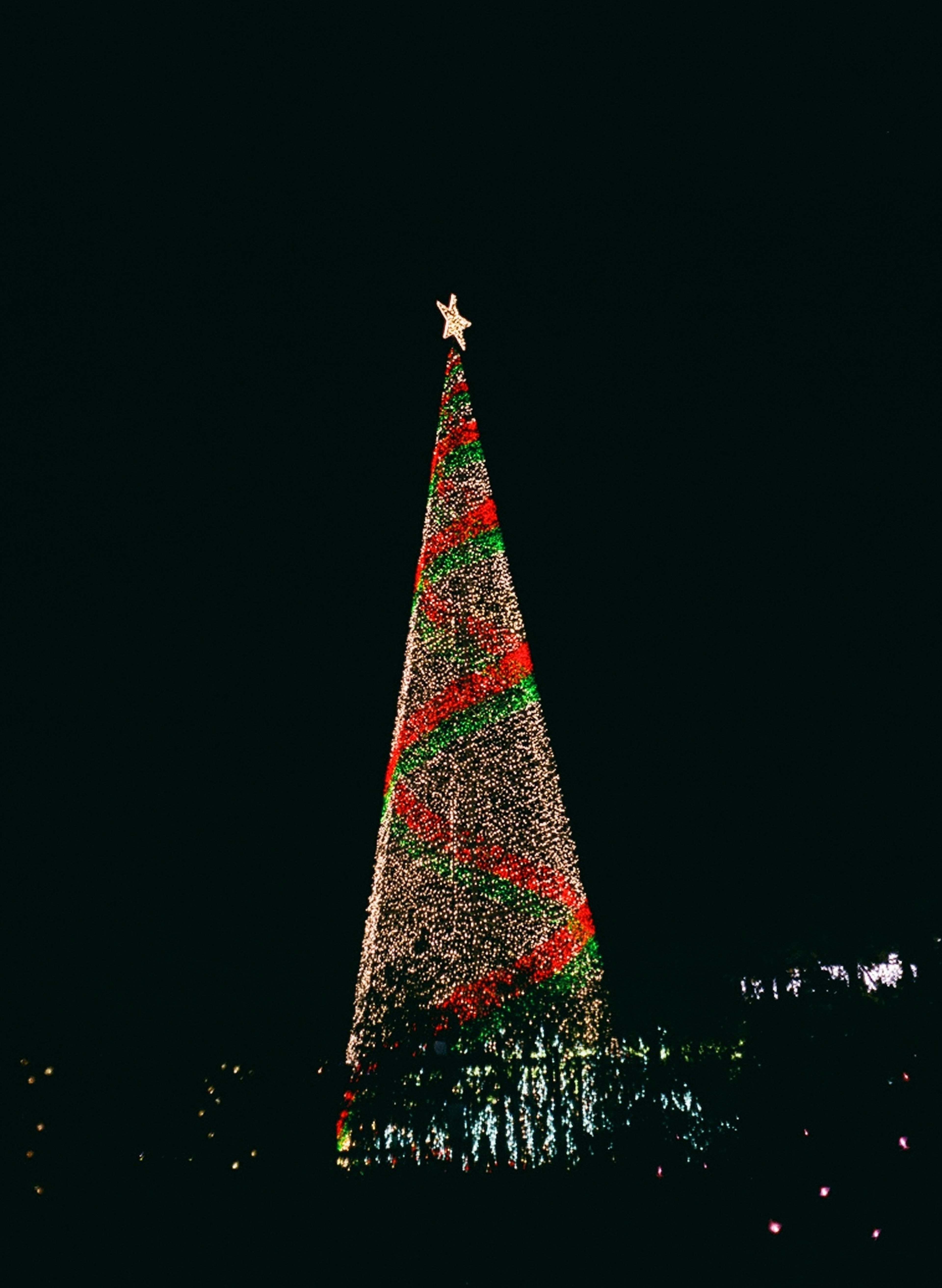 Pohon Natal yang indah bersinar di langit malam