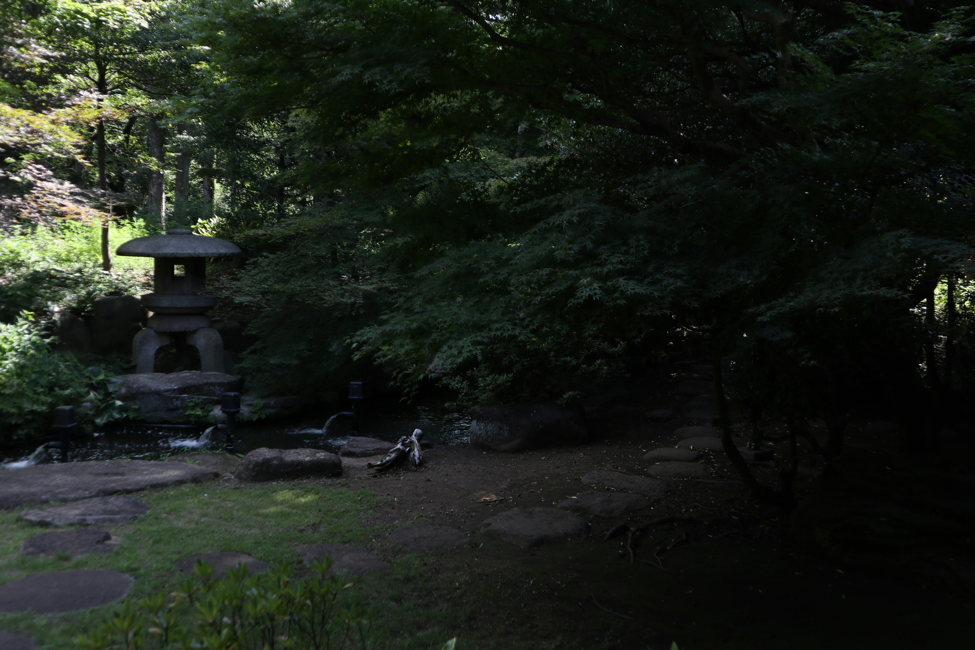 Lush garden featuring a stone lantern and flowing water