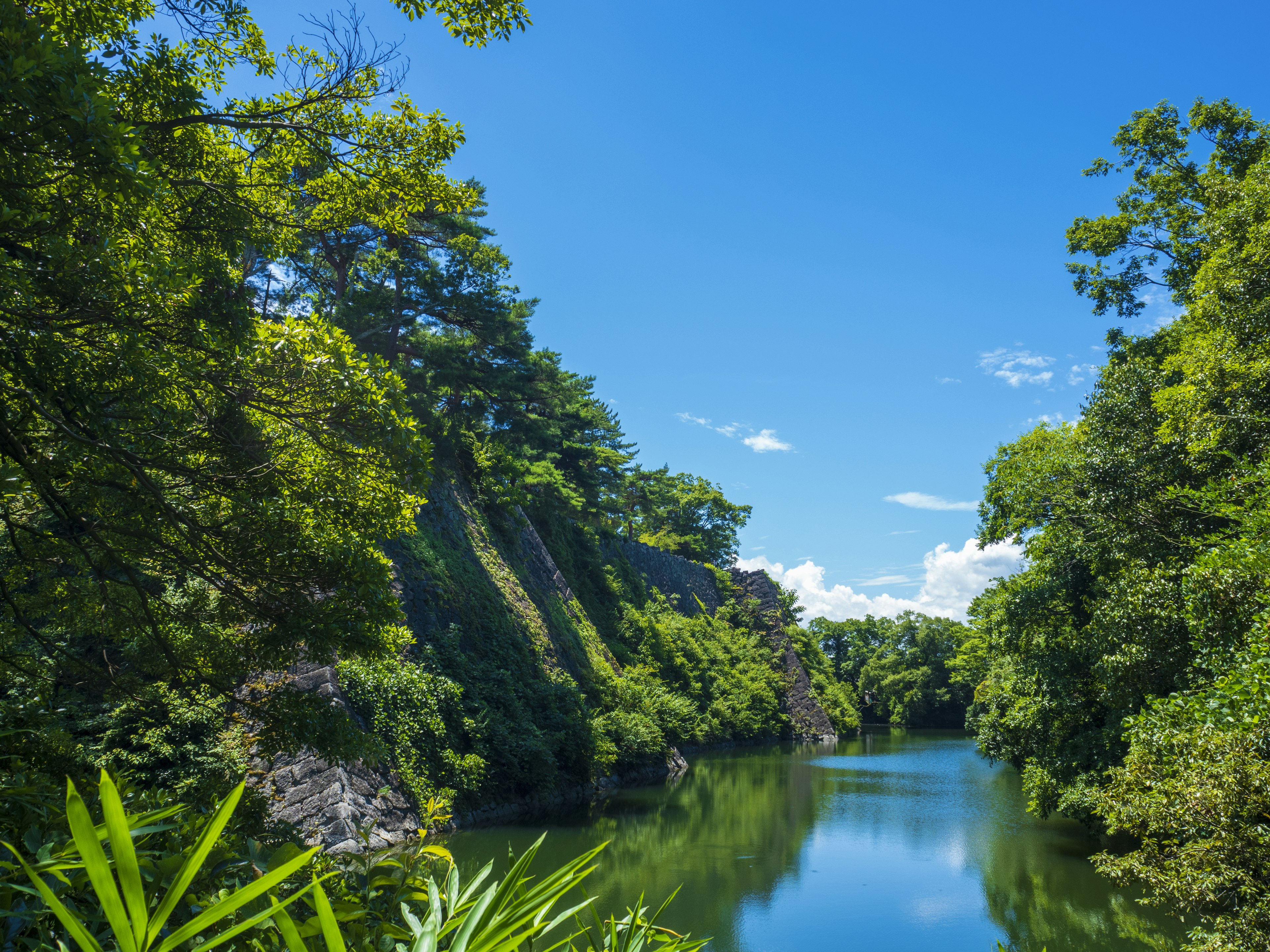 Serene Flusslandschaft umgeben von üppigem Grün blauer Himmel und weiße Wolken spiegeln sich im Wasser