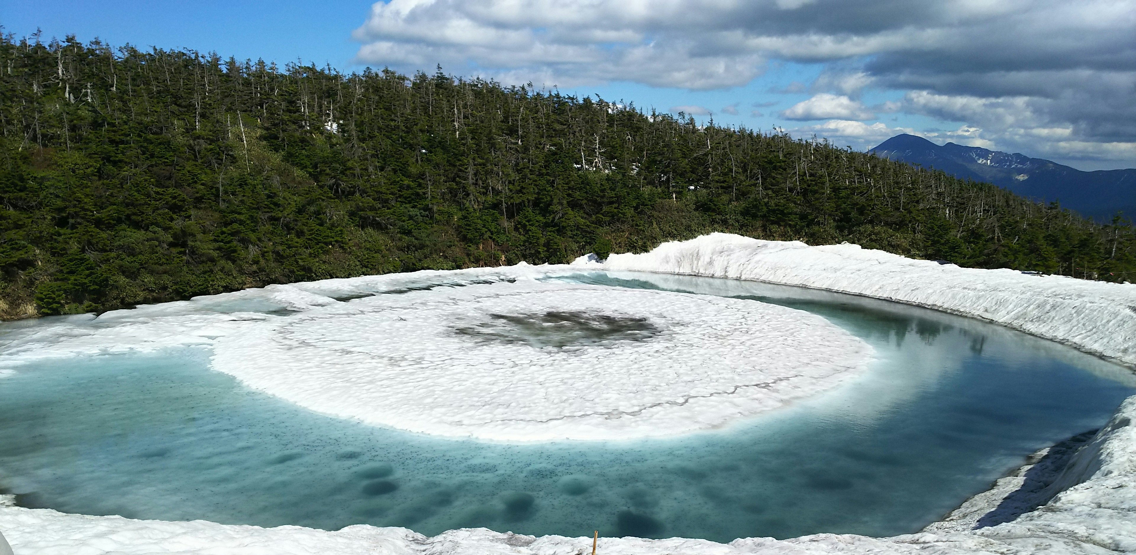 Kolam glacial berbentuk lingkaran dikelilingi oleh pemandangan hutan yang rimbun