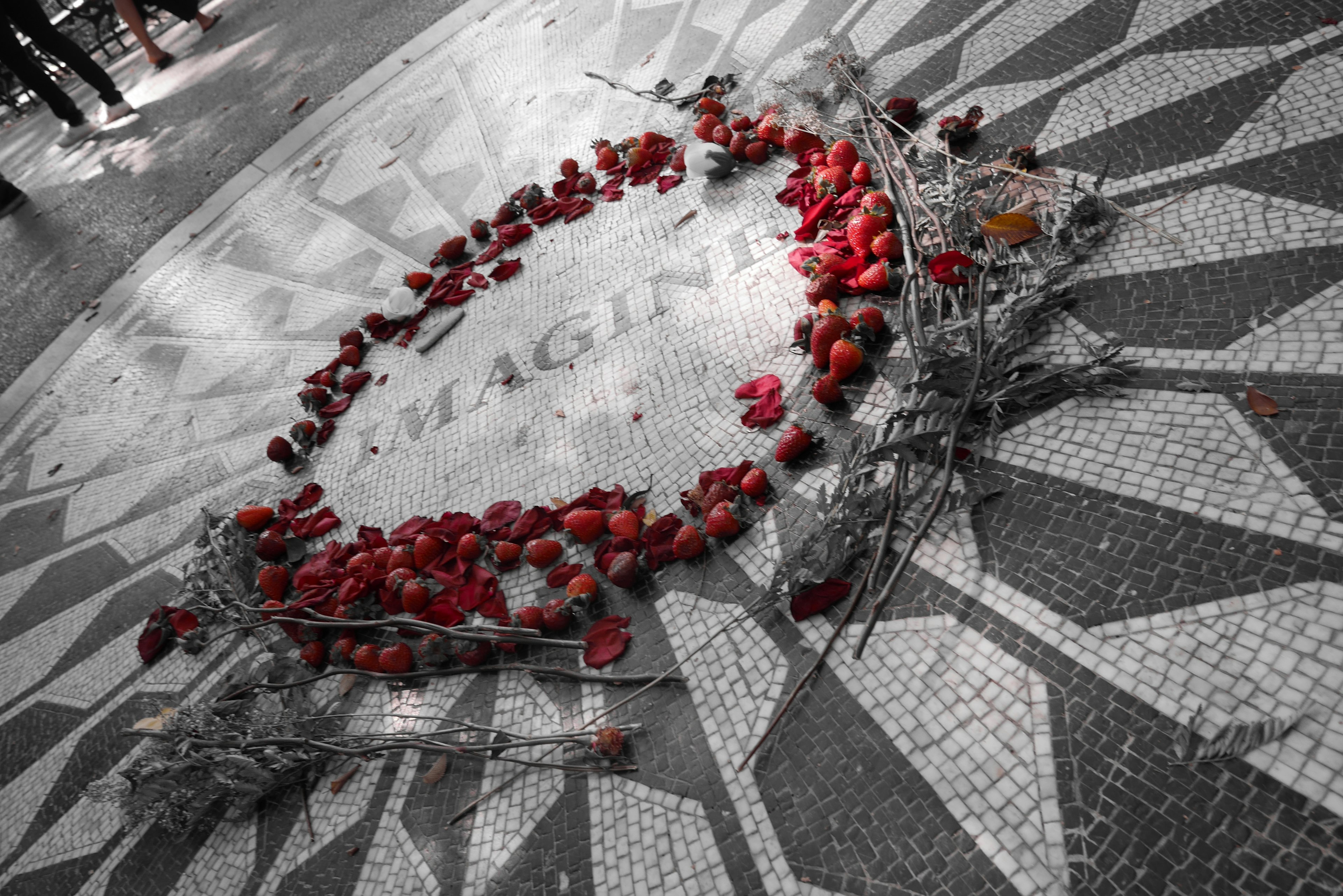 Mosaic floor with red rose petals arranged in a circular design featuring the word IMAGINE at the center