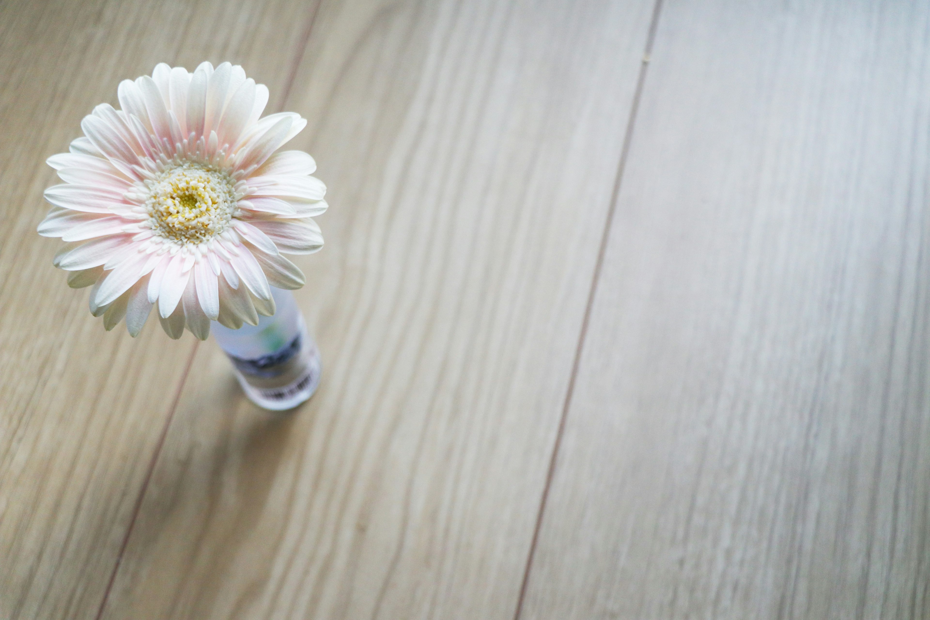 木の床の上に小さな花瓶に入った薄いピンクのガーベラの花