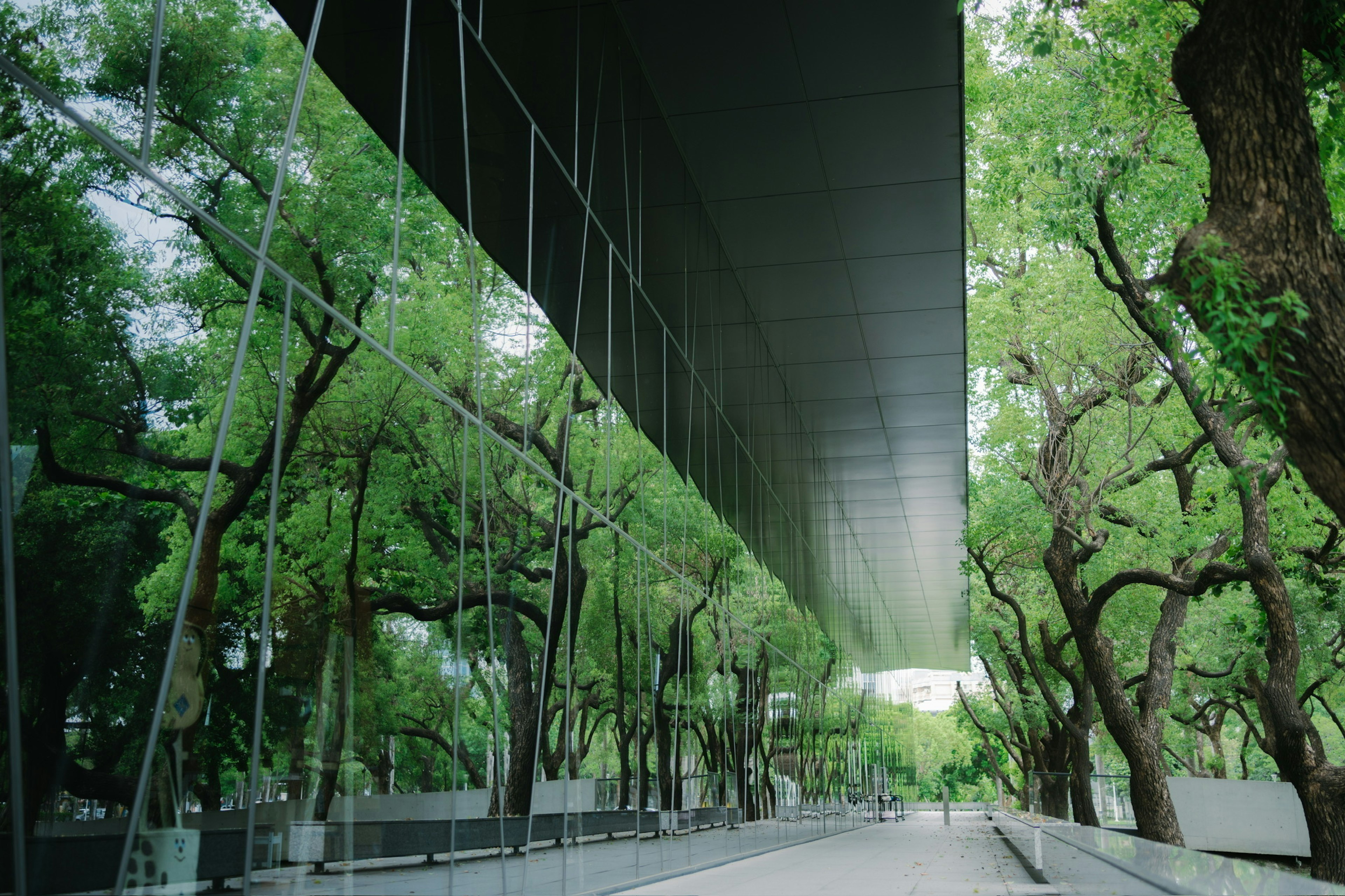 Street view featuring green trees and a reflective glass building