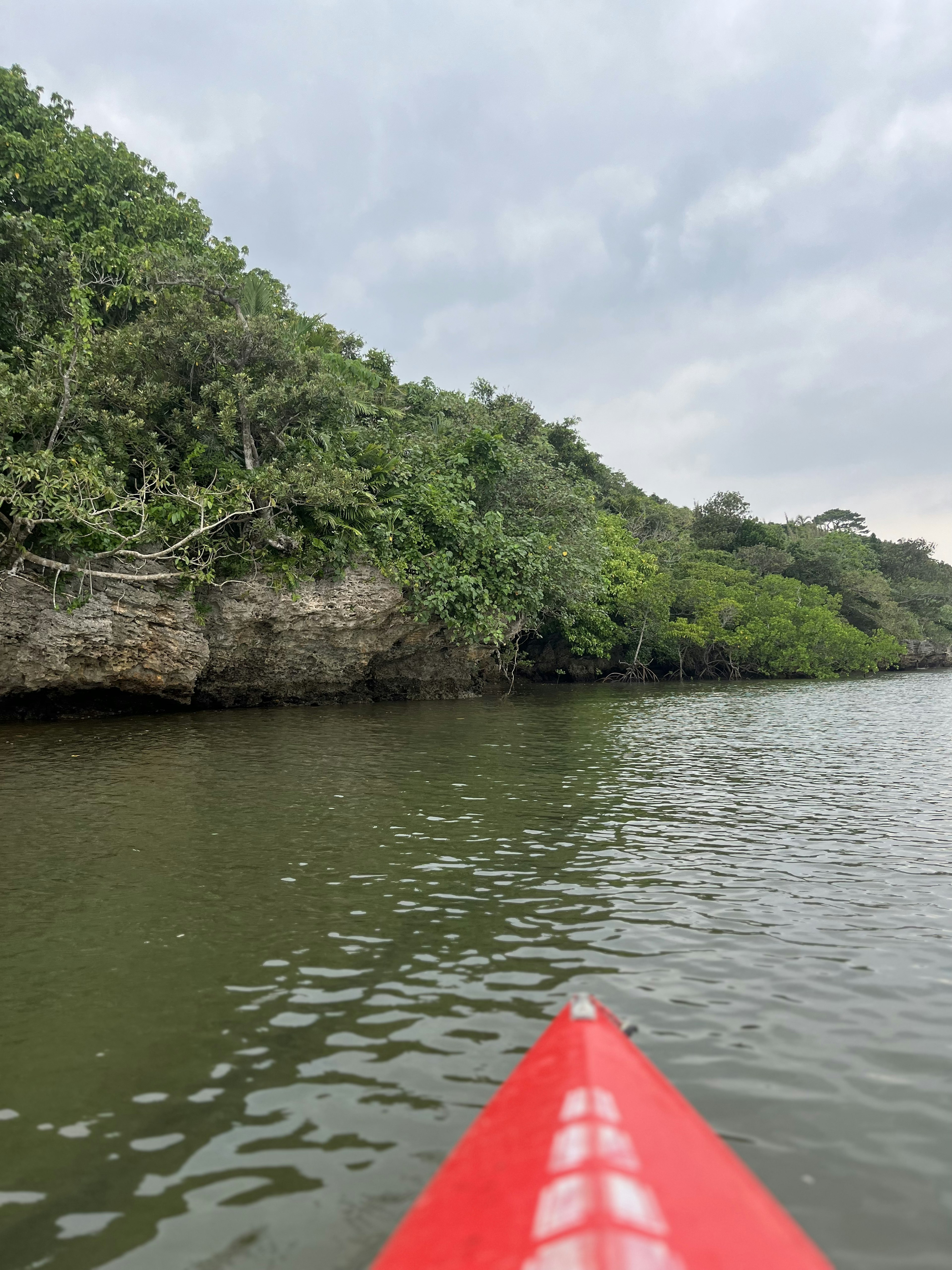 Punta di kayak rosso in acqua calma circondata da vegetazione lussureggiante e scogliere rocciose