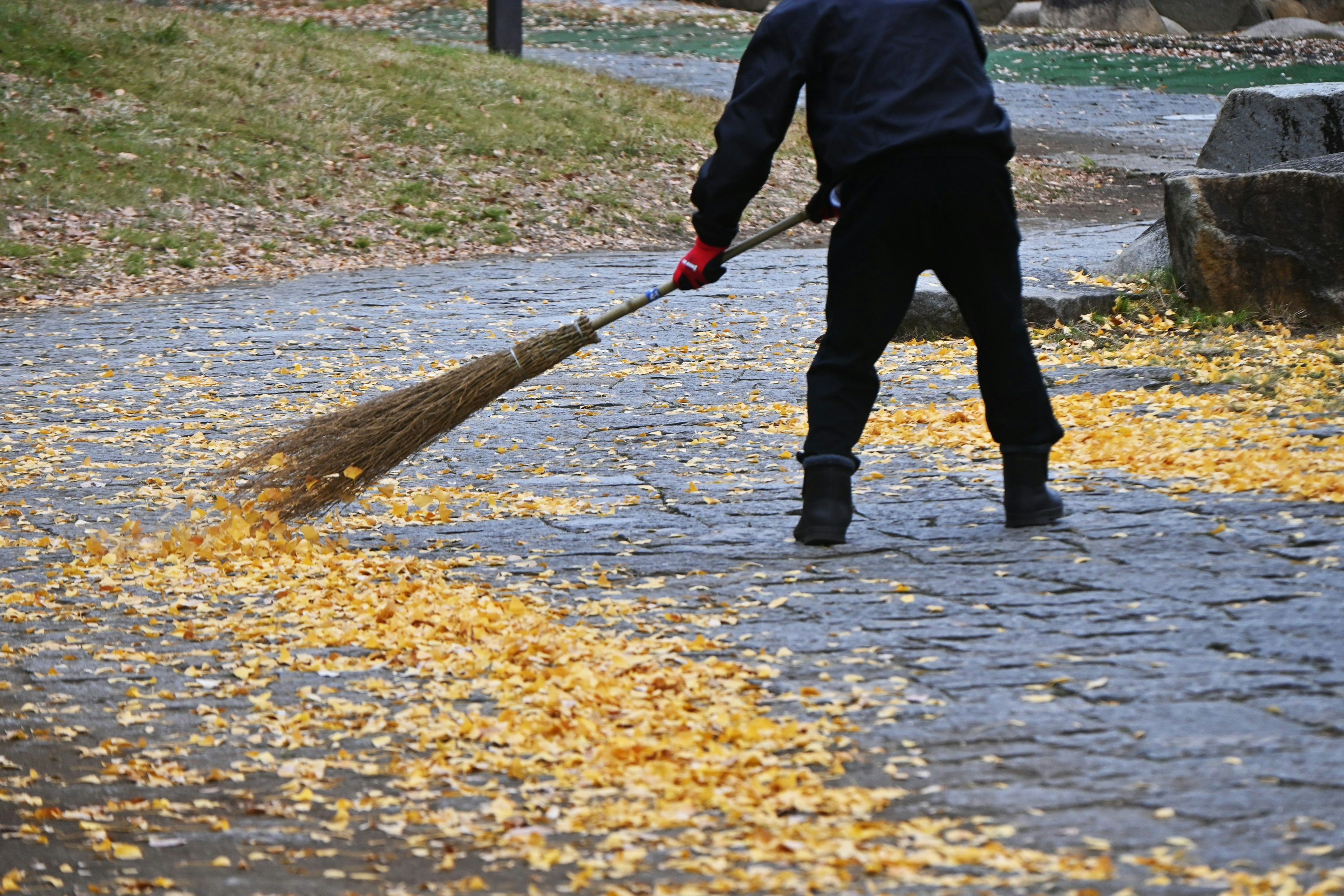 Trabajador barriendo hojas amarillas de ginkgo en un parque